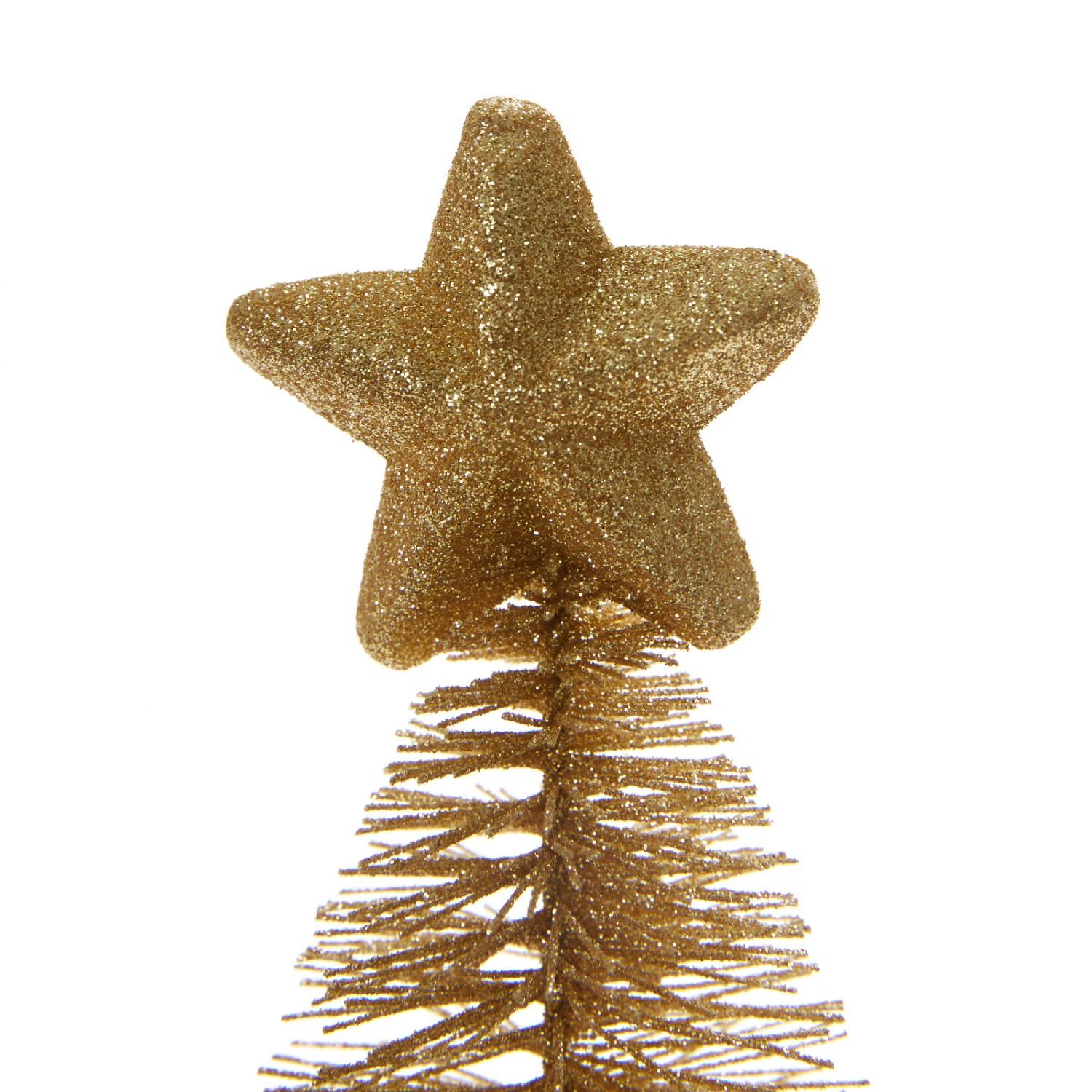 Ель Bettola - фото № 2