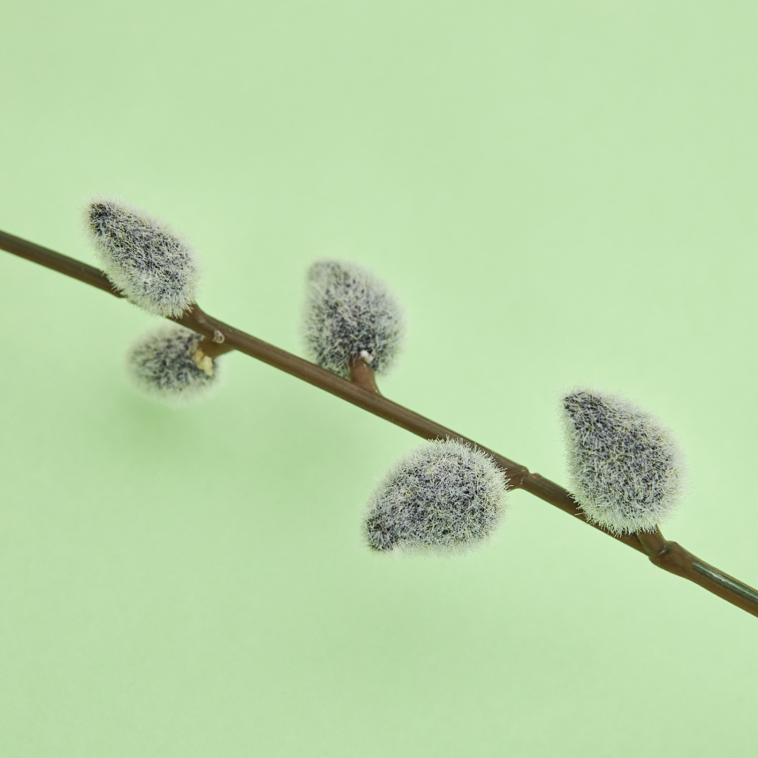 Декоративное украшение Willow - фото № 2