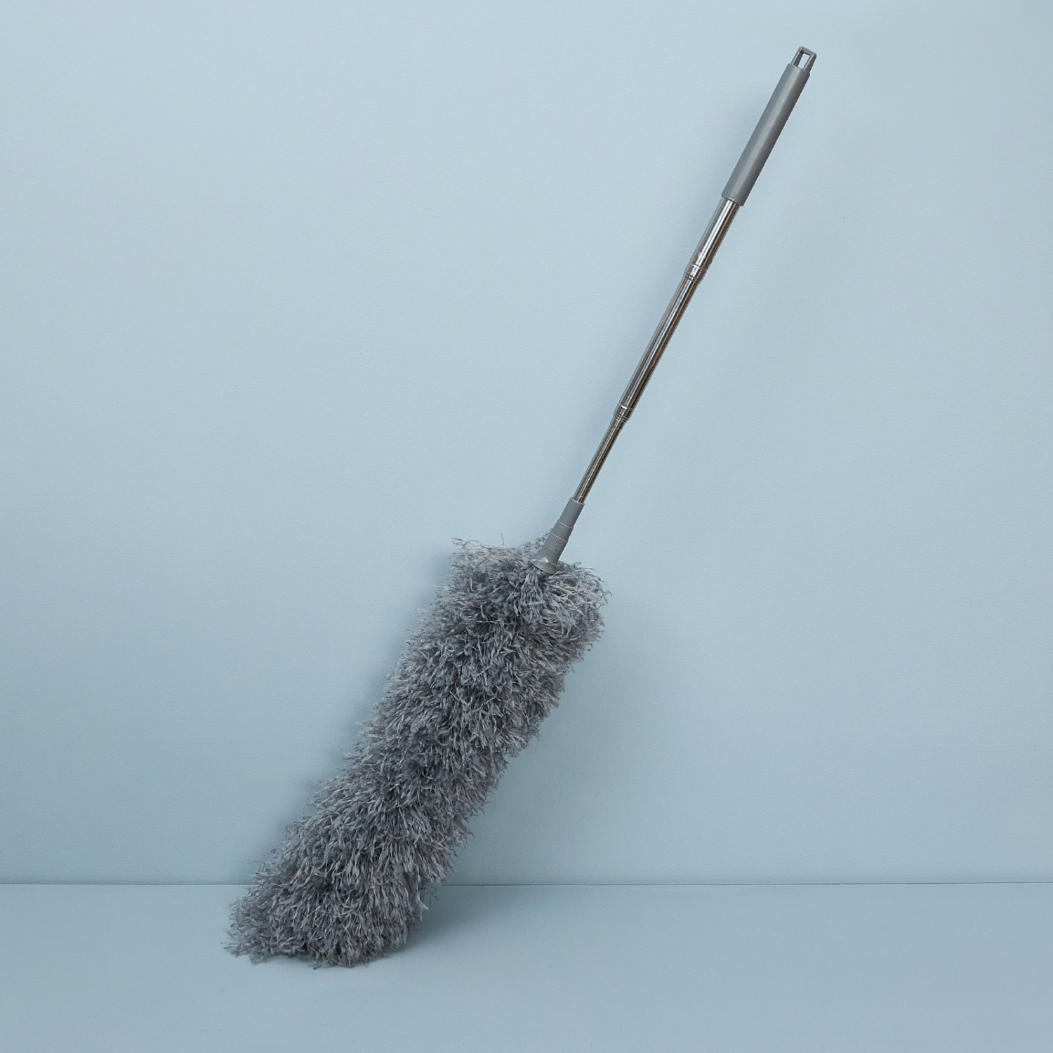 Метелка Париньяну/Paringianu - фото № 6