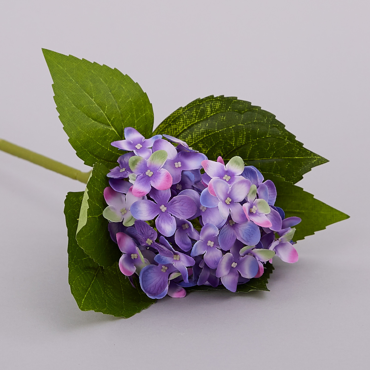 Цветок Ortensia