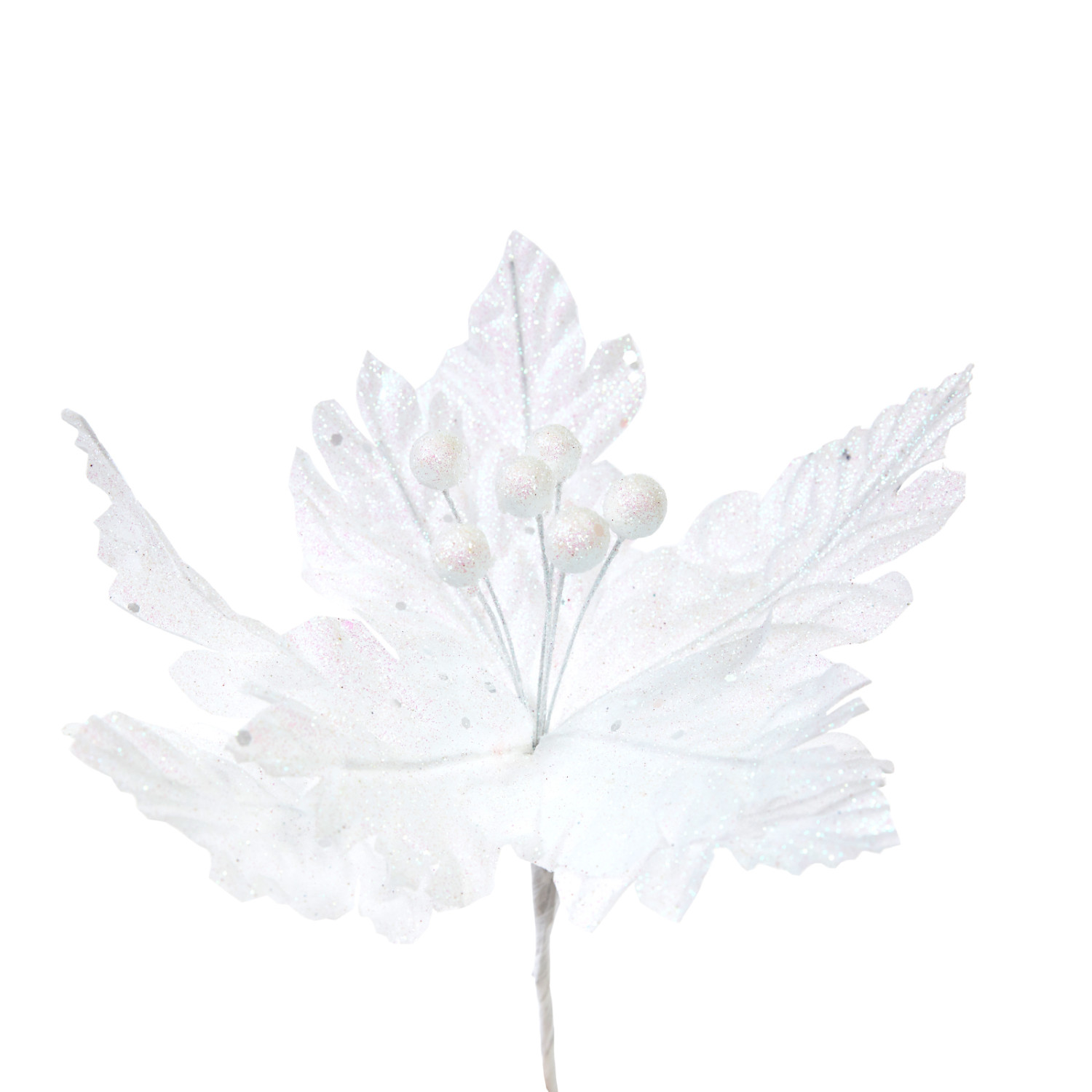 Цветок Puansetiya - фото № 2