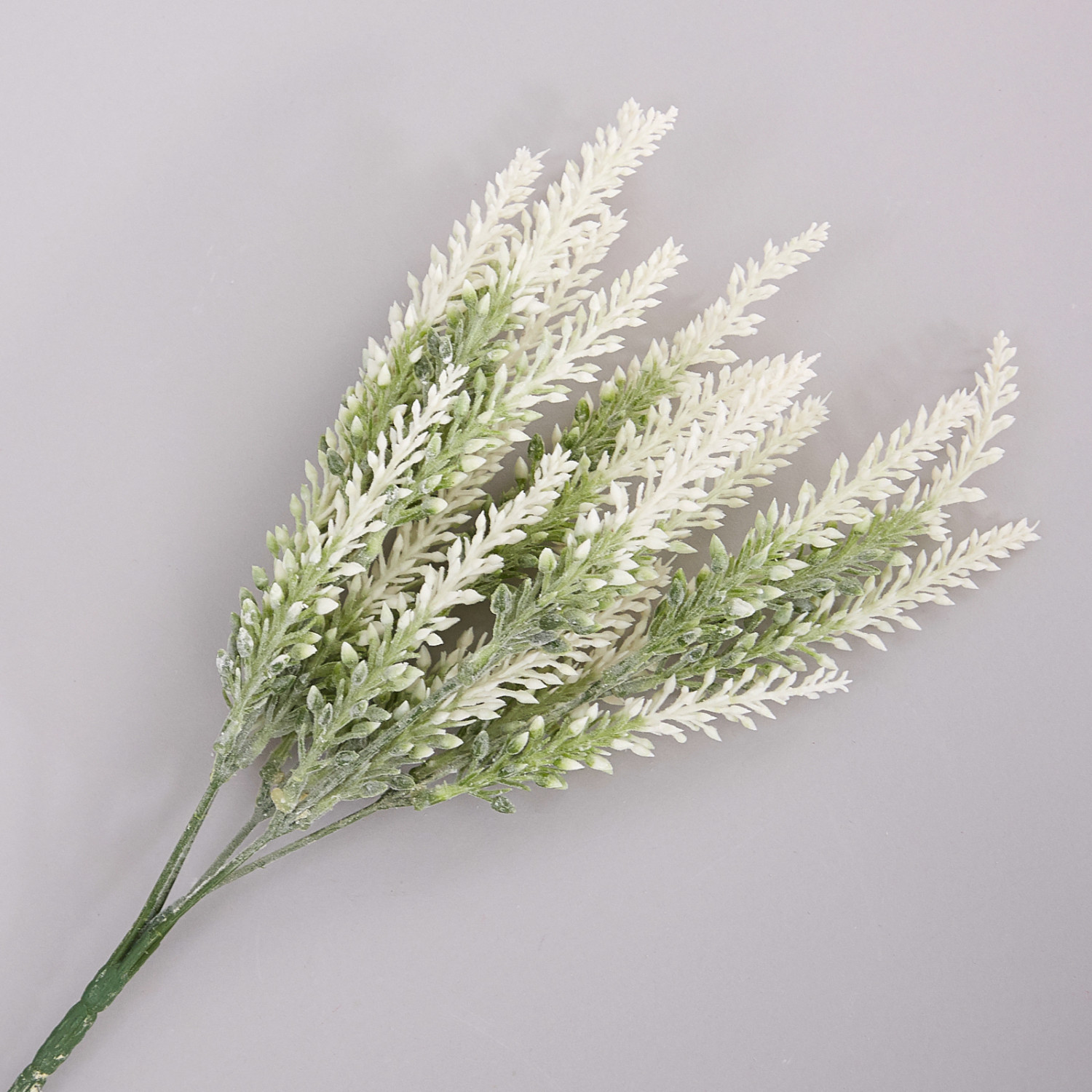 Цветок A casa - фото № 2