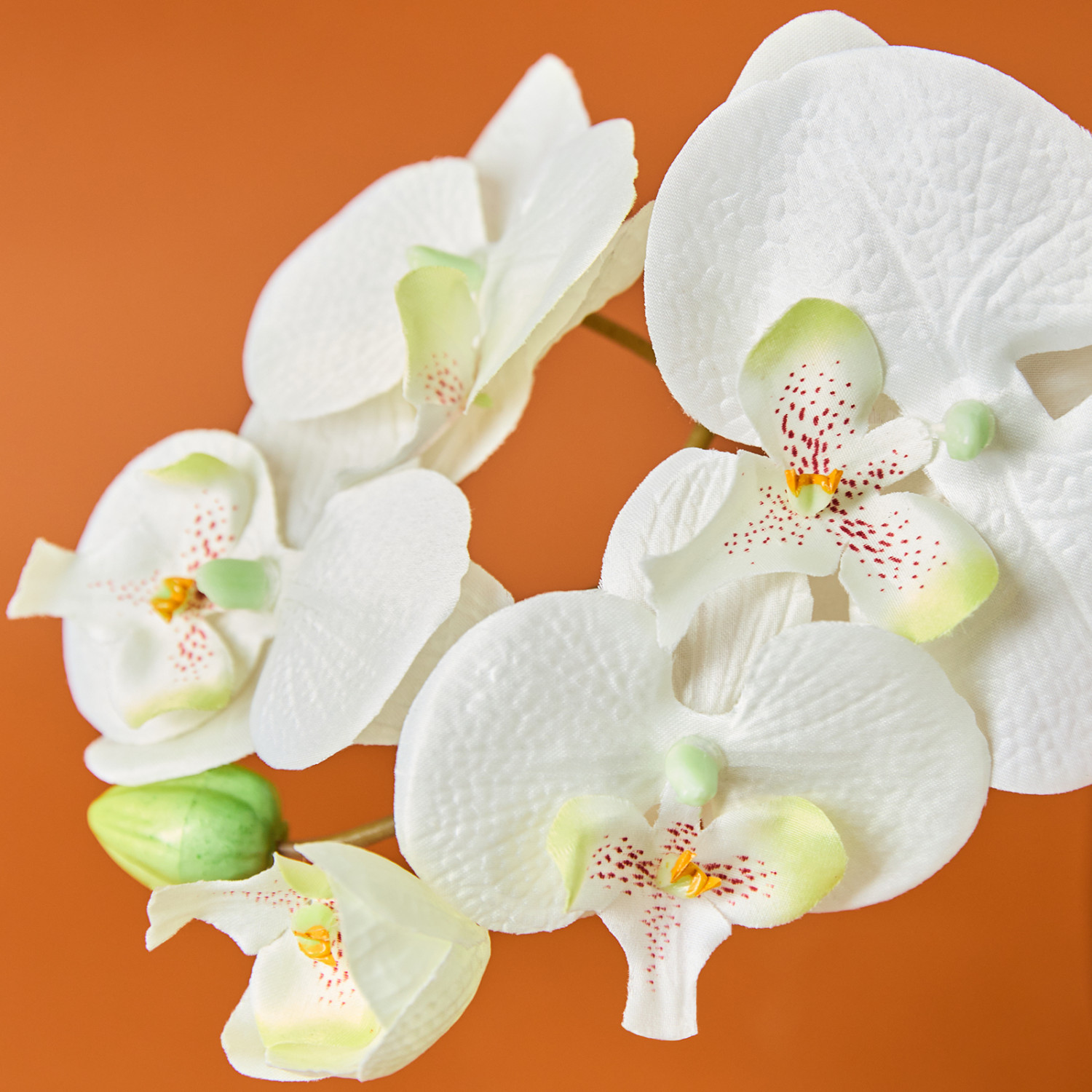 Цветок Piemonte, белый - фото № 2