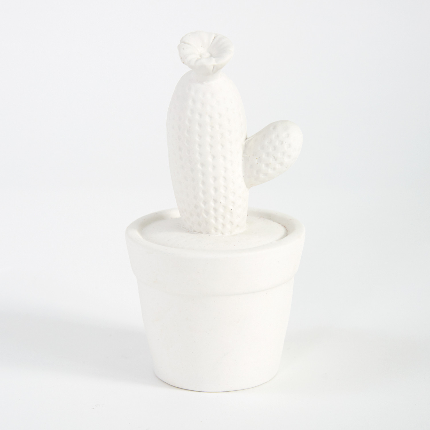Статуэтка Кактус