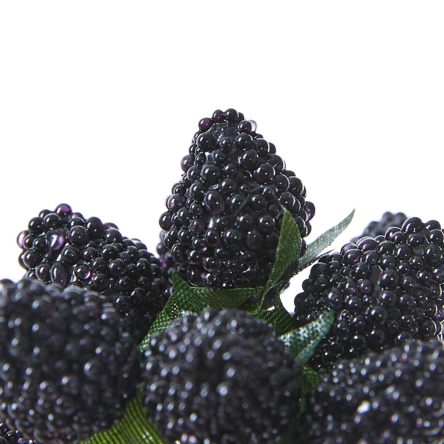 Ветвь Mora - фото № 2