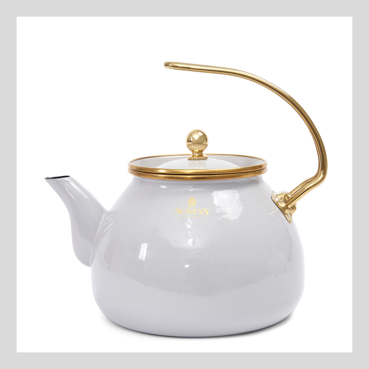 Чайник эмалированный Tudor