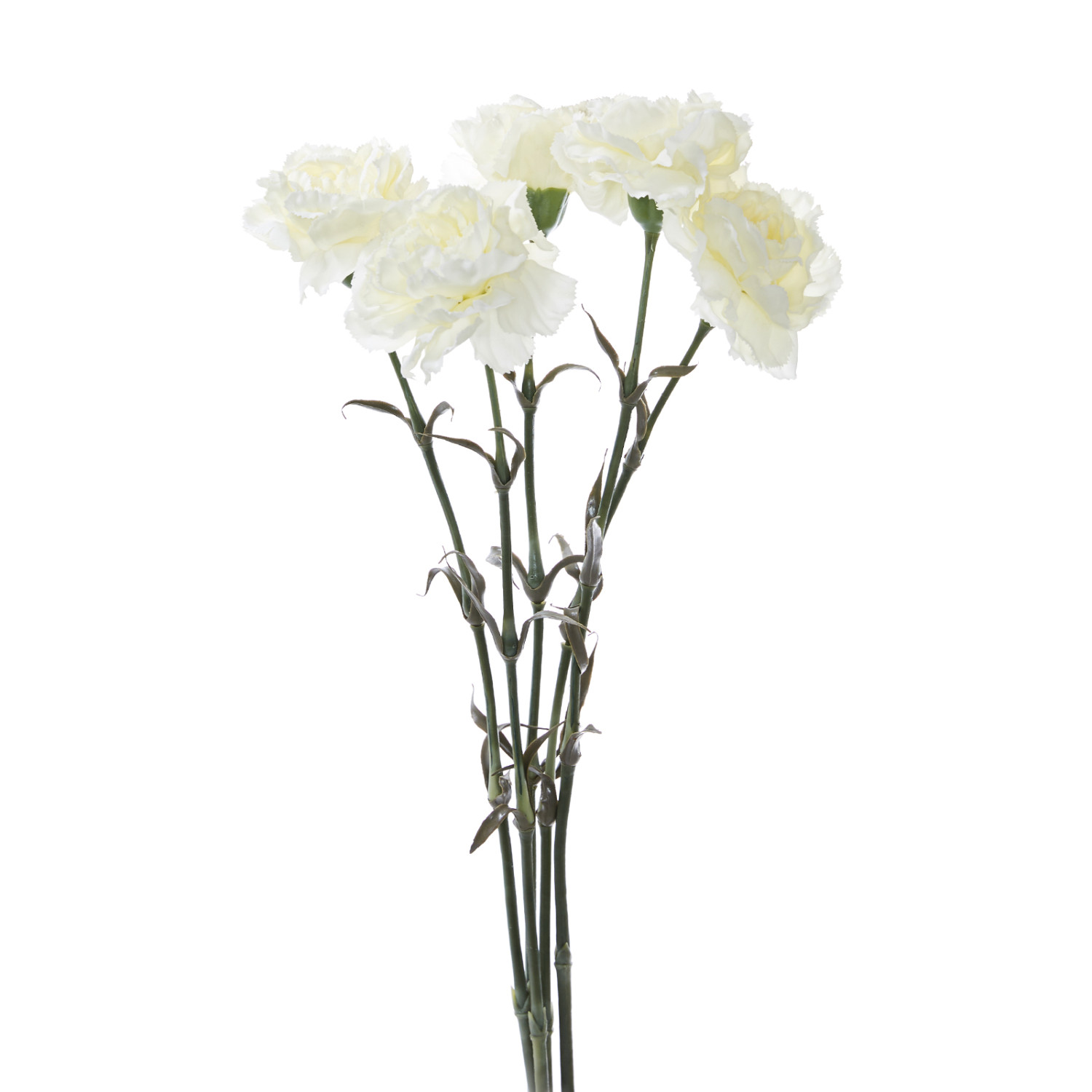 Цветок Garofano