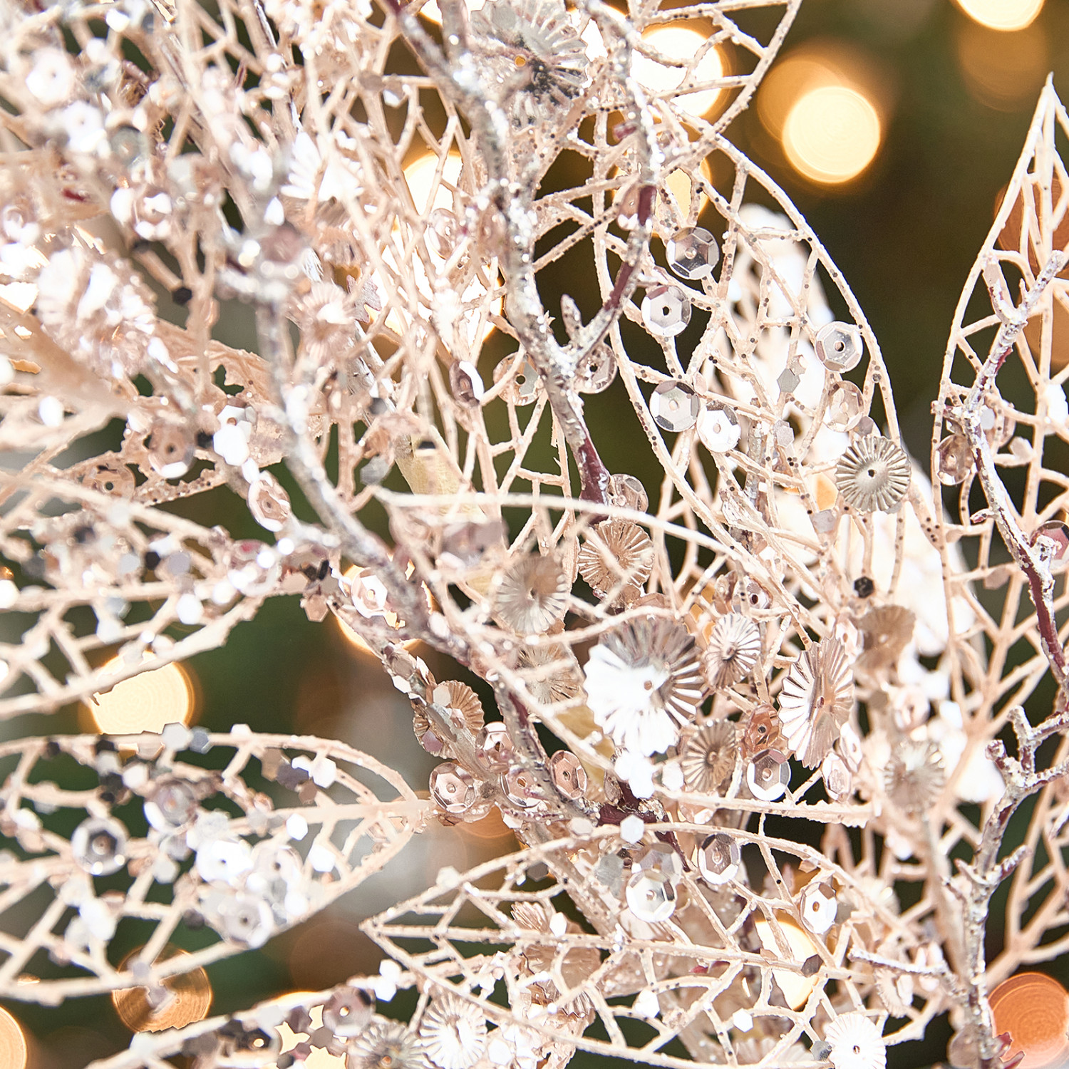 Ветвь Matellica - фото № 3