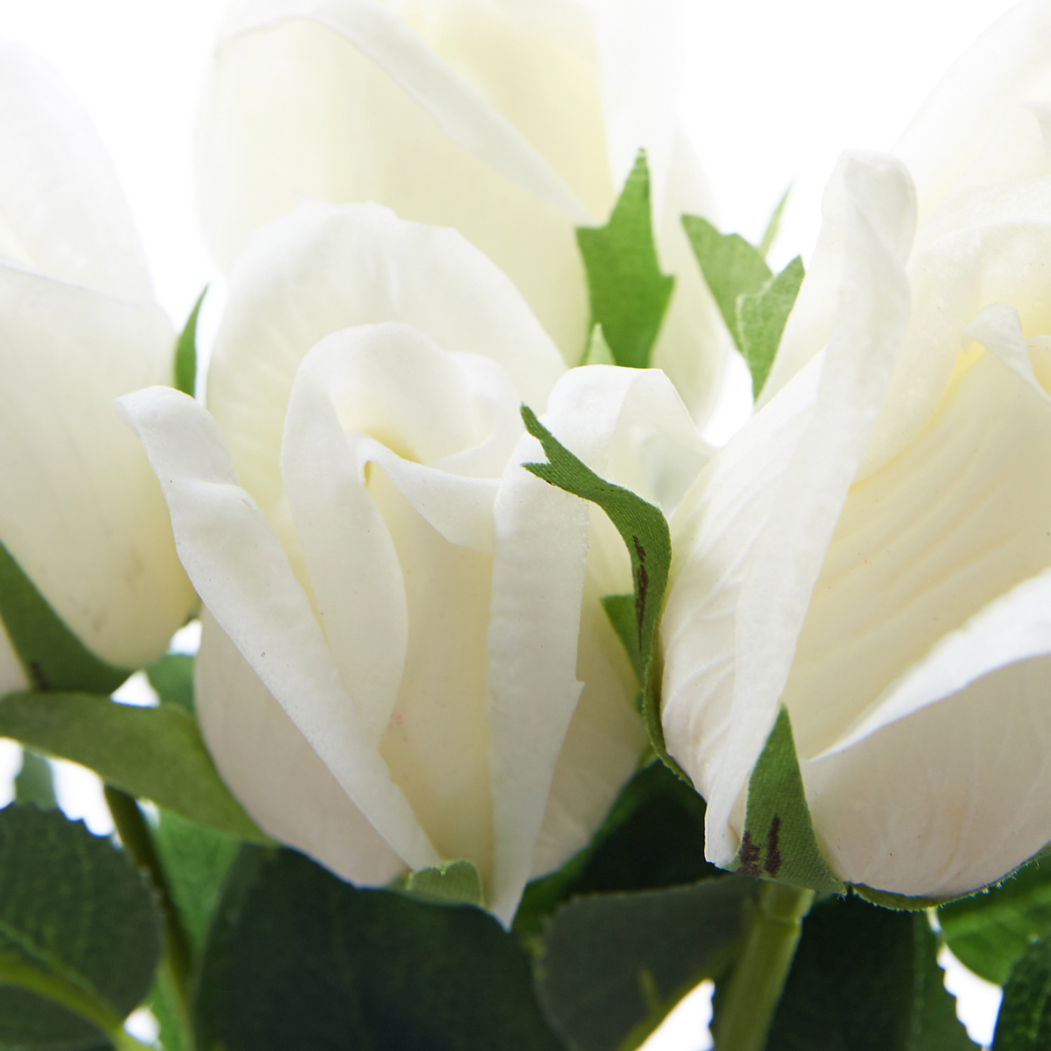 Цветок Firenze - фото № 3