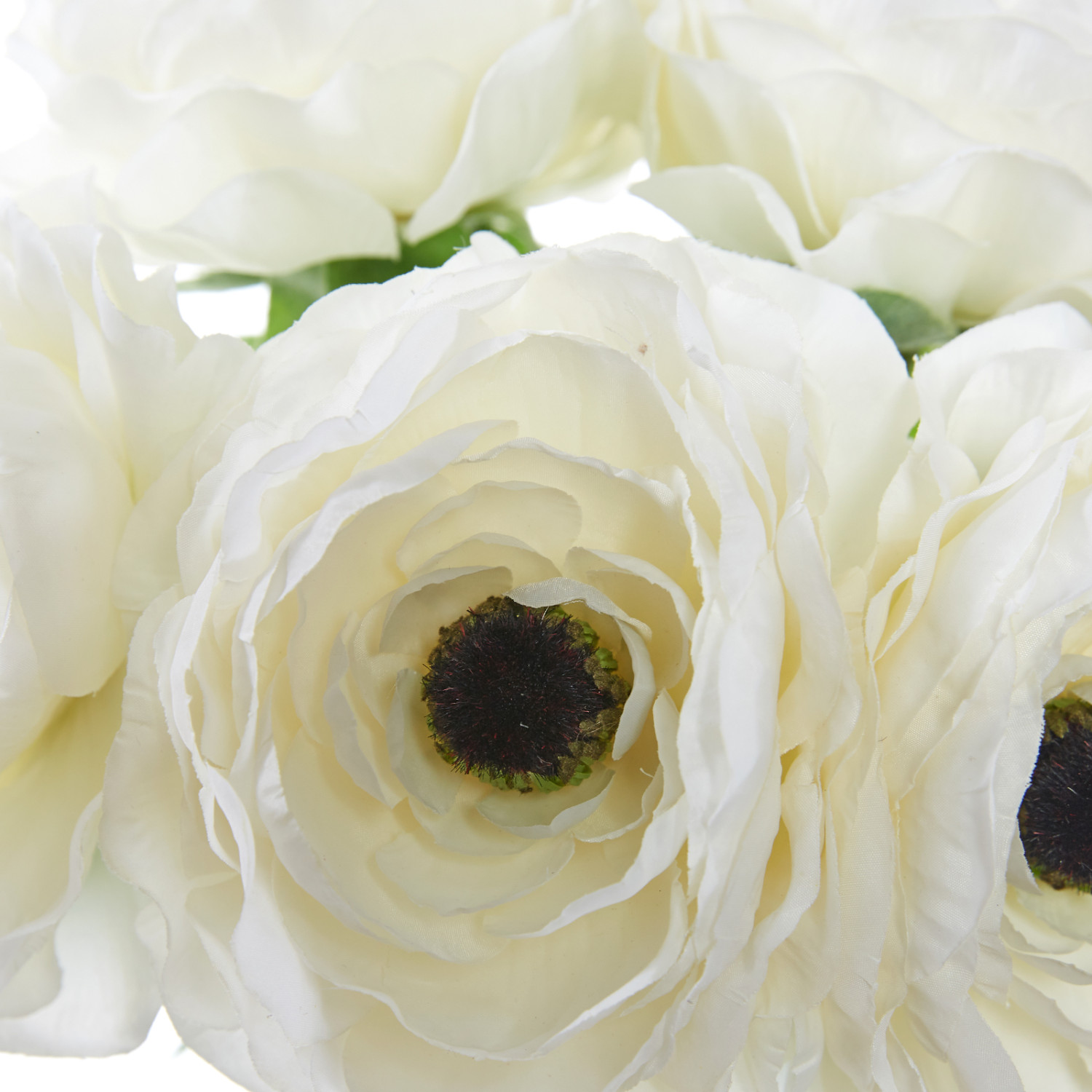 Цветок Dolori - фото № 3