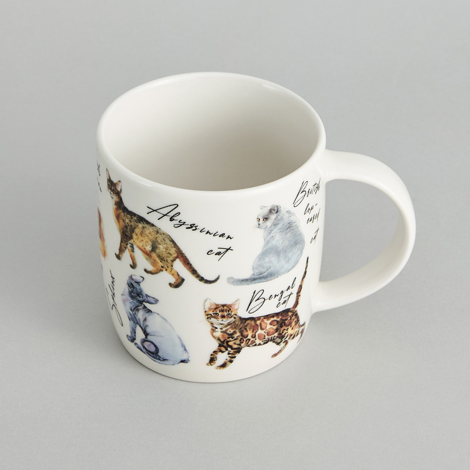 Кружка Клуб кошек/Cat club - фото № 2