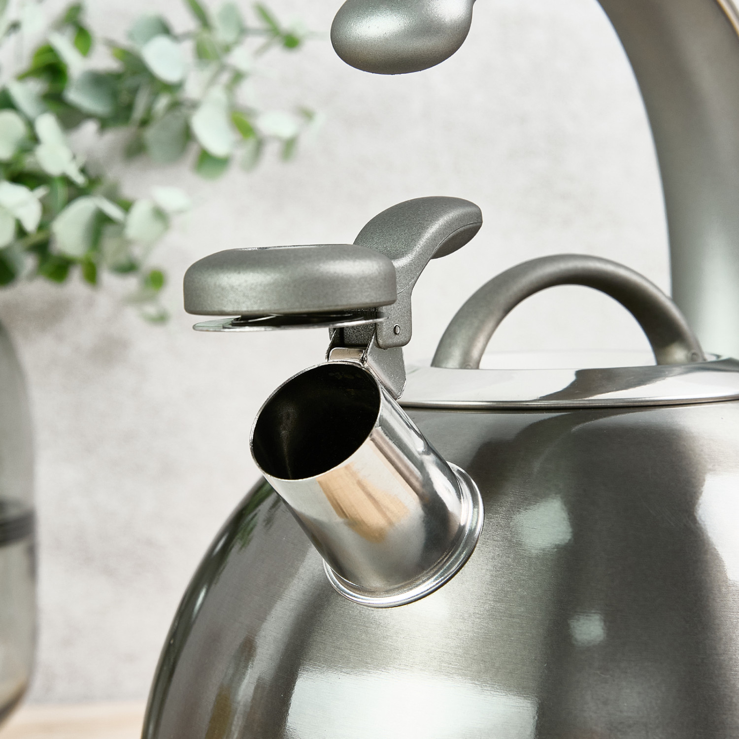 Чайник со свистком Noble black - фото № 3