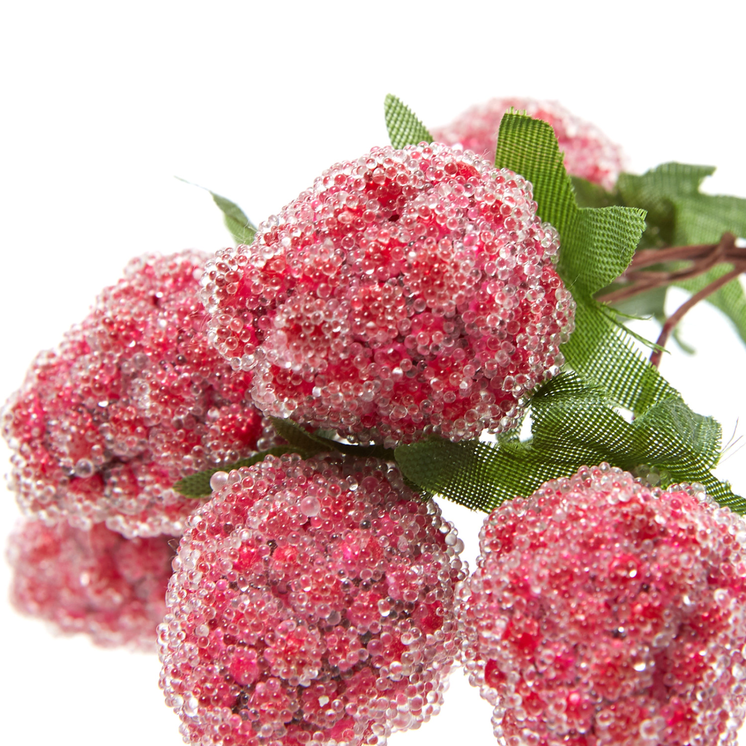 Ветвь Formelli - фото № 2