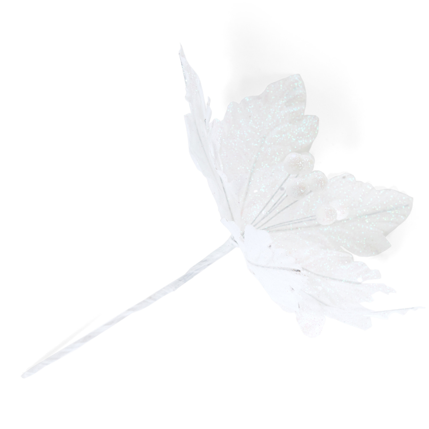 Цветок Puansetiya