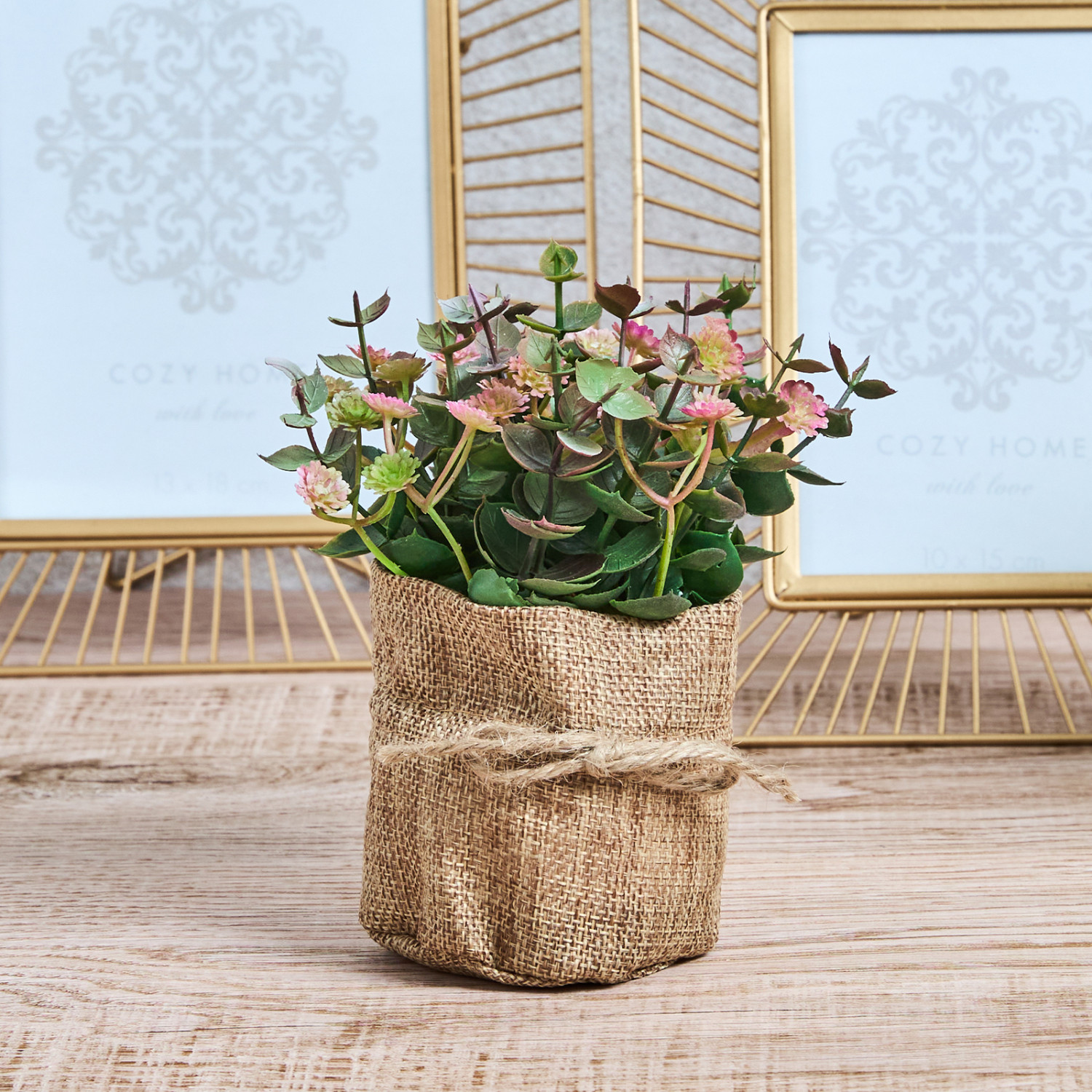 Цветок Ferrito