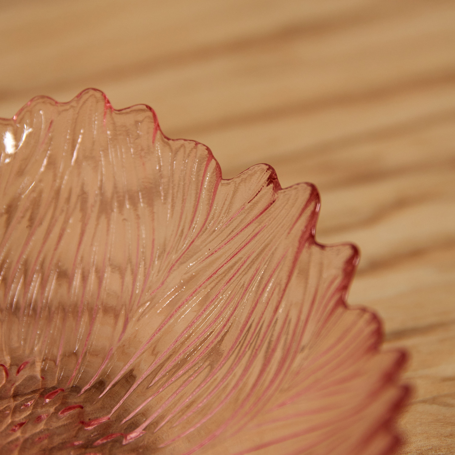 Миска Gina - фото № 2