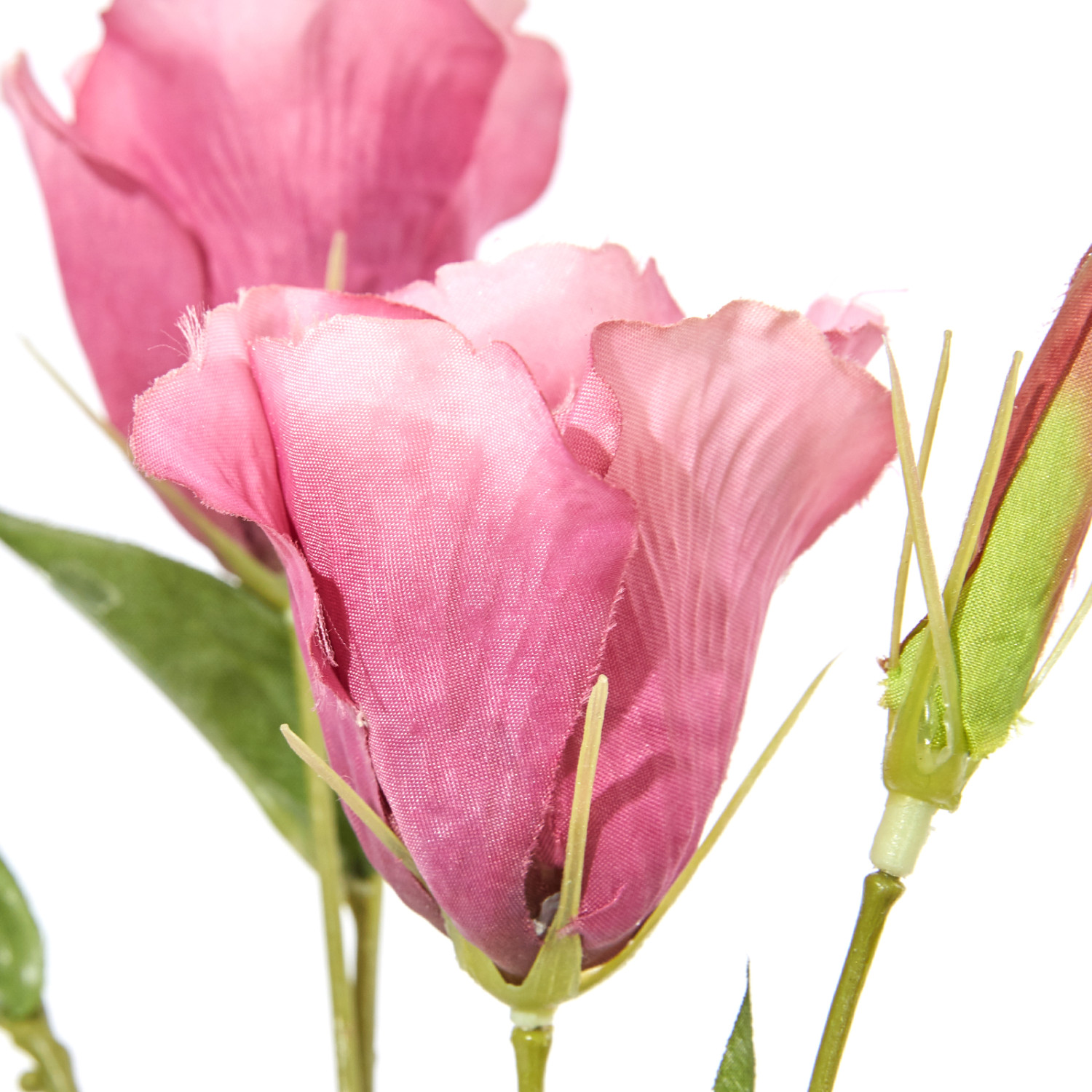 Цветок Eustoma - фото № 2