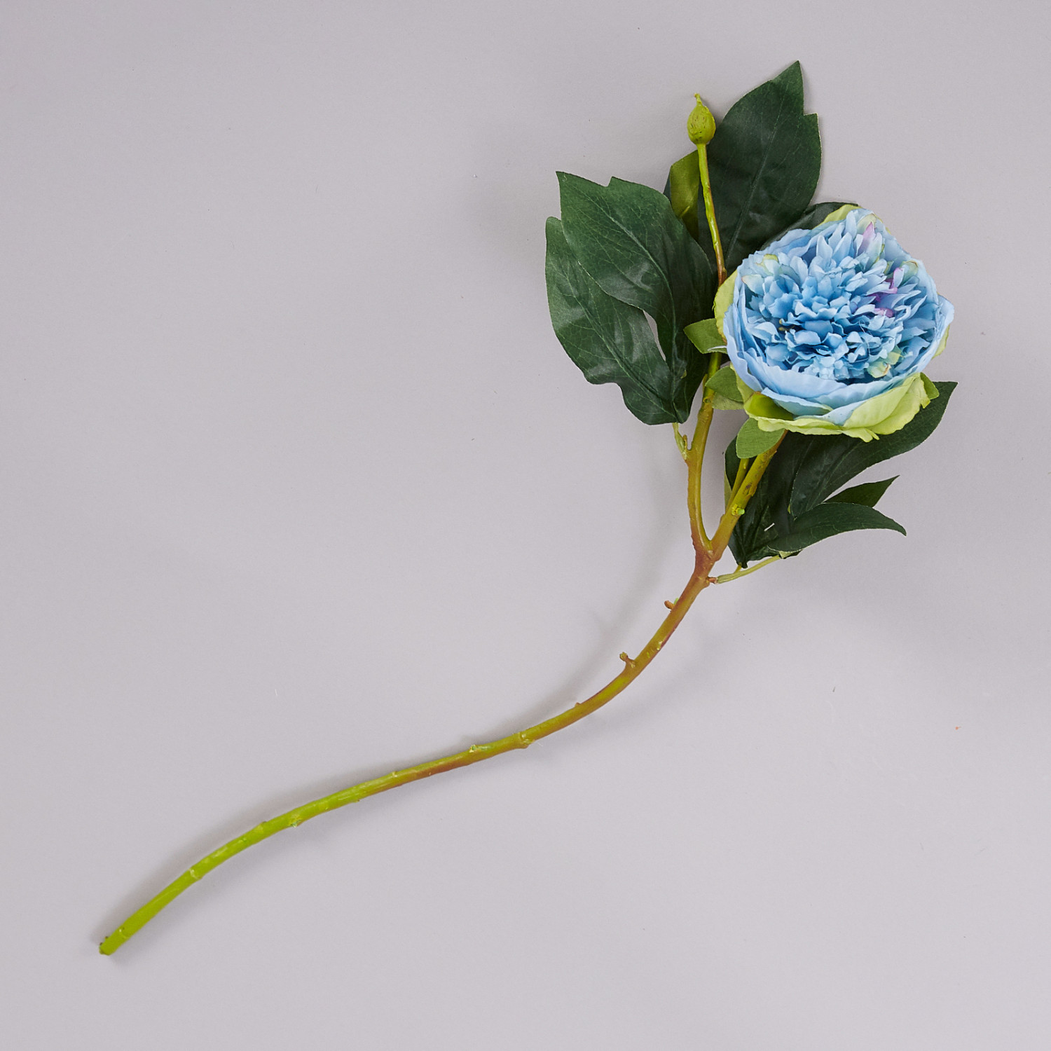 Цветок Peony - фото № 2