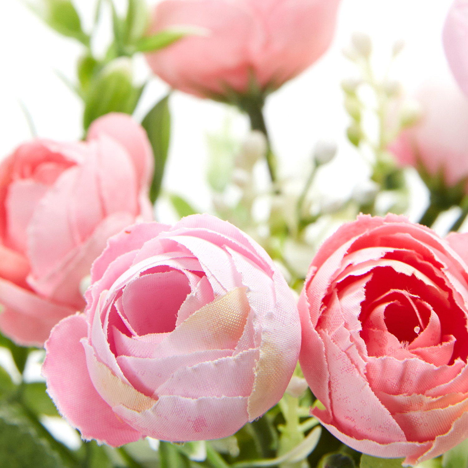 Цветок в горшке Rosabella - фото № 2