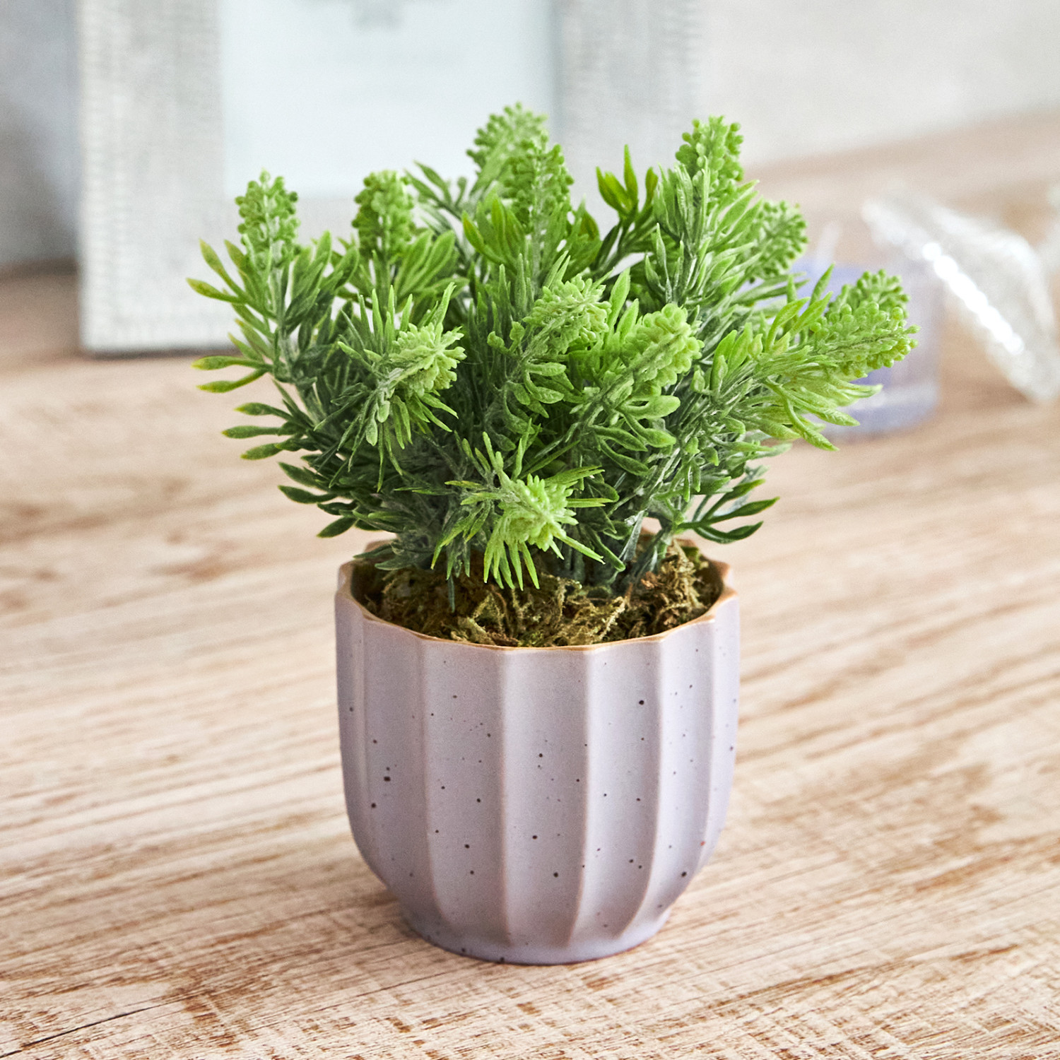 Цветок Pontegrande - фото № 2