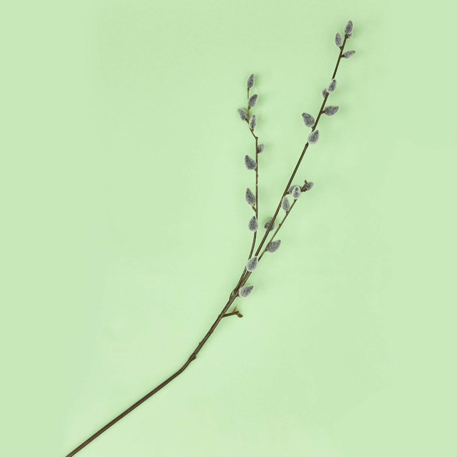 Декоративное украшение Willow