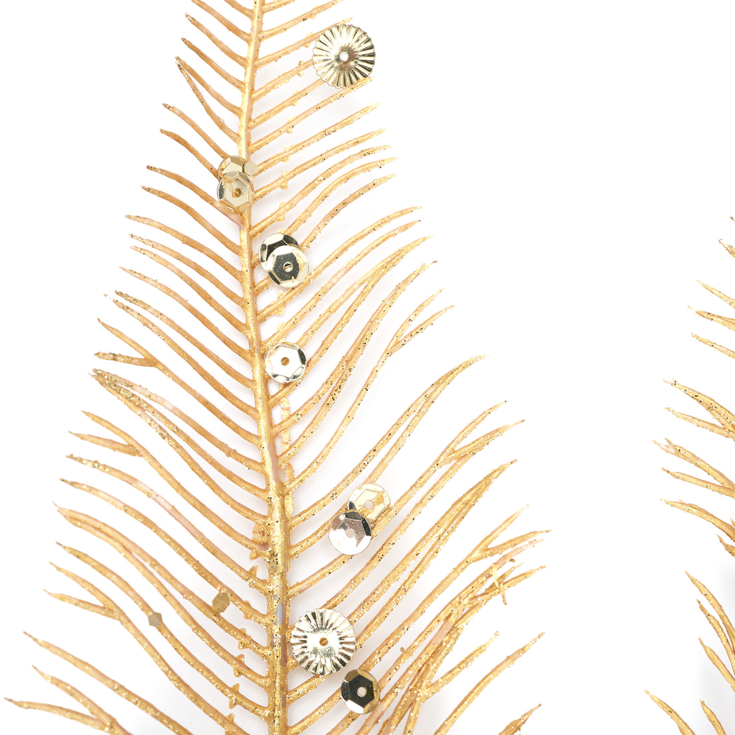 Ветвь Barisano - фото № 5