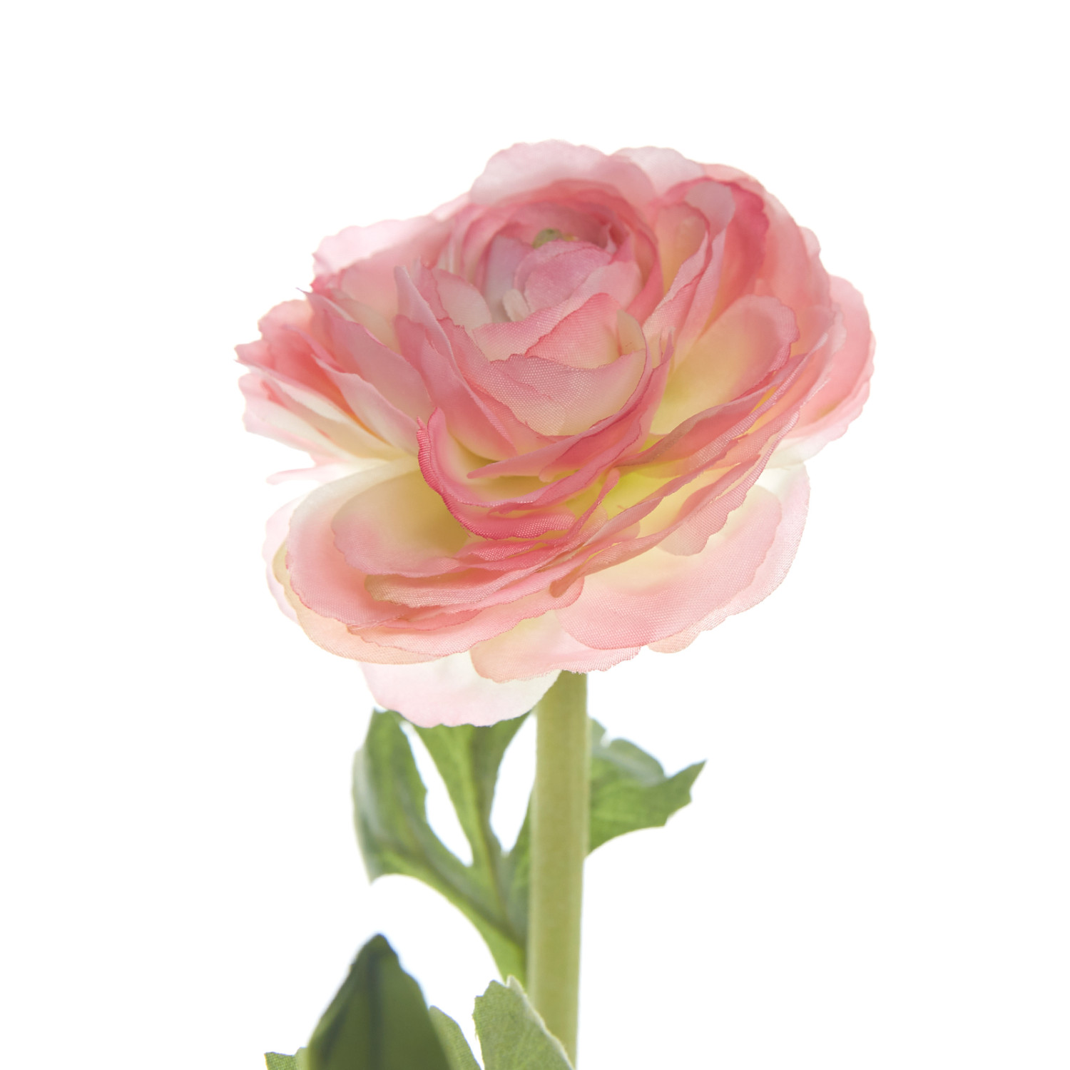 Цветок Fiore - фото № 2