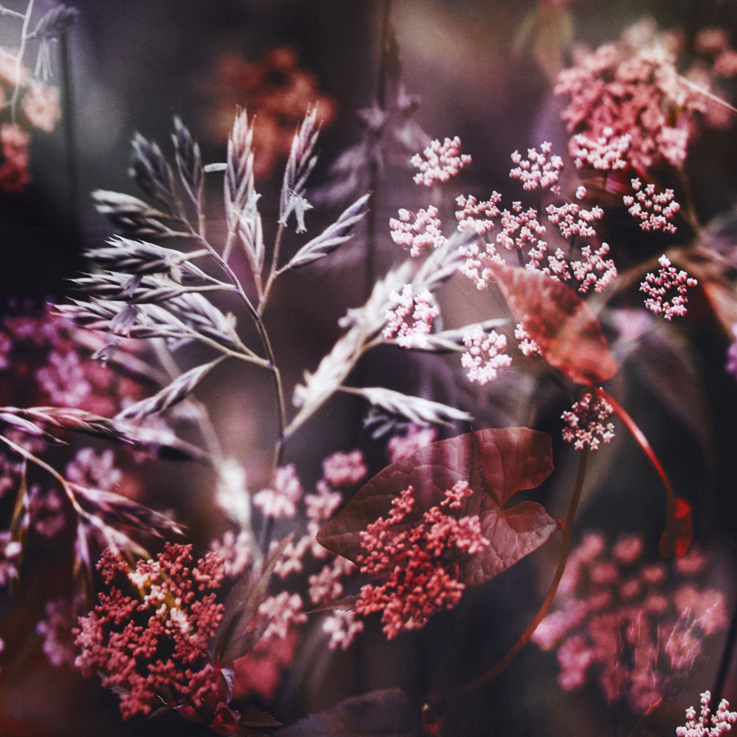 Постельное белье Capraia - фото № 5