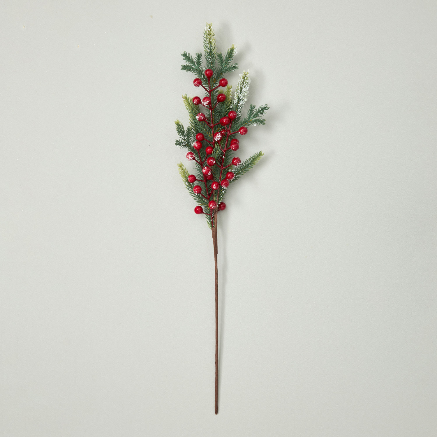 Ветвь Rametto I - фото № 2