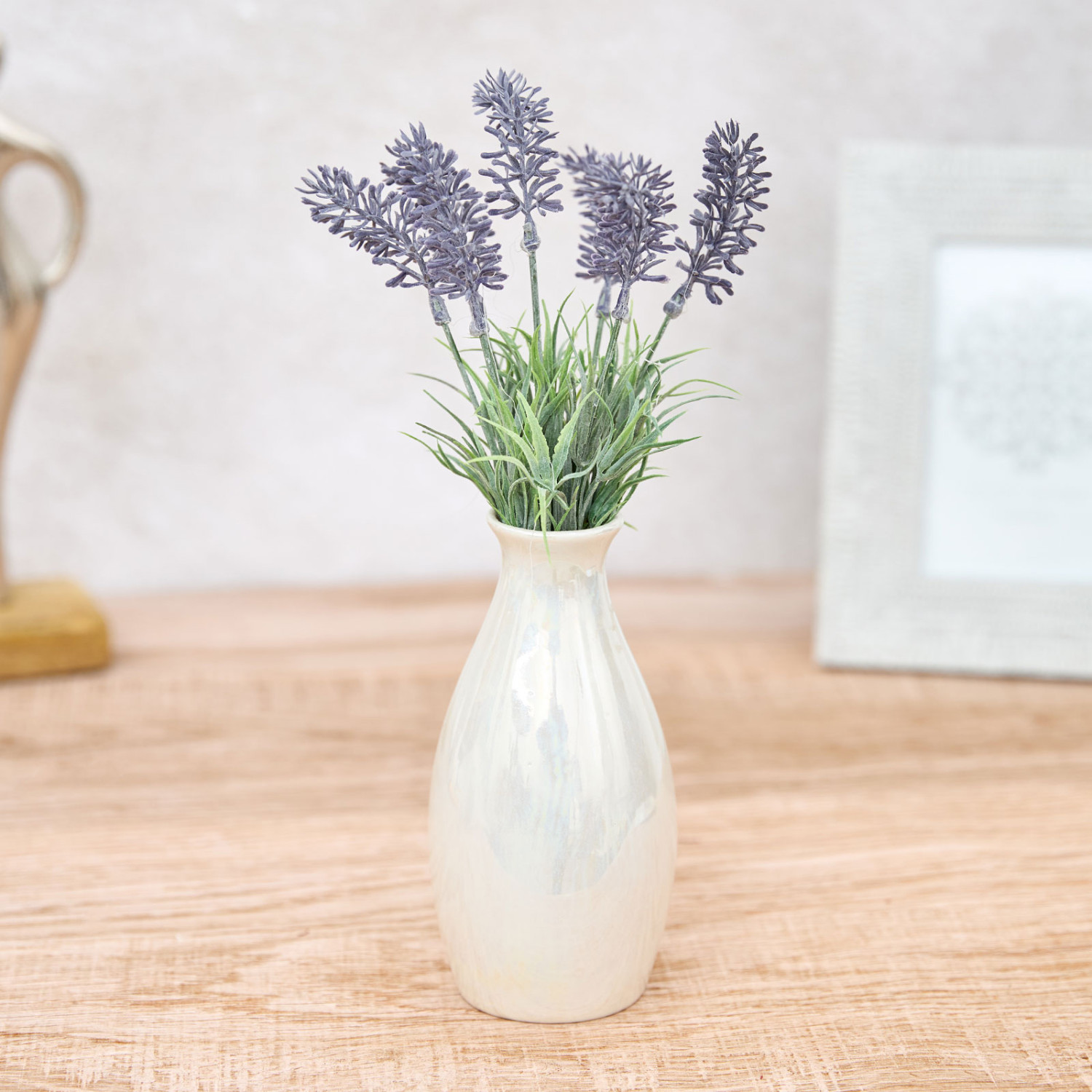 Цветок Zumpano - фото № 2