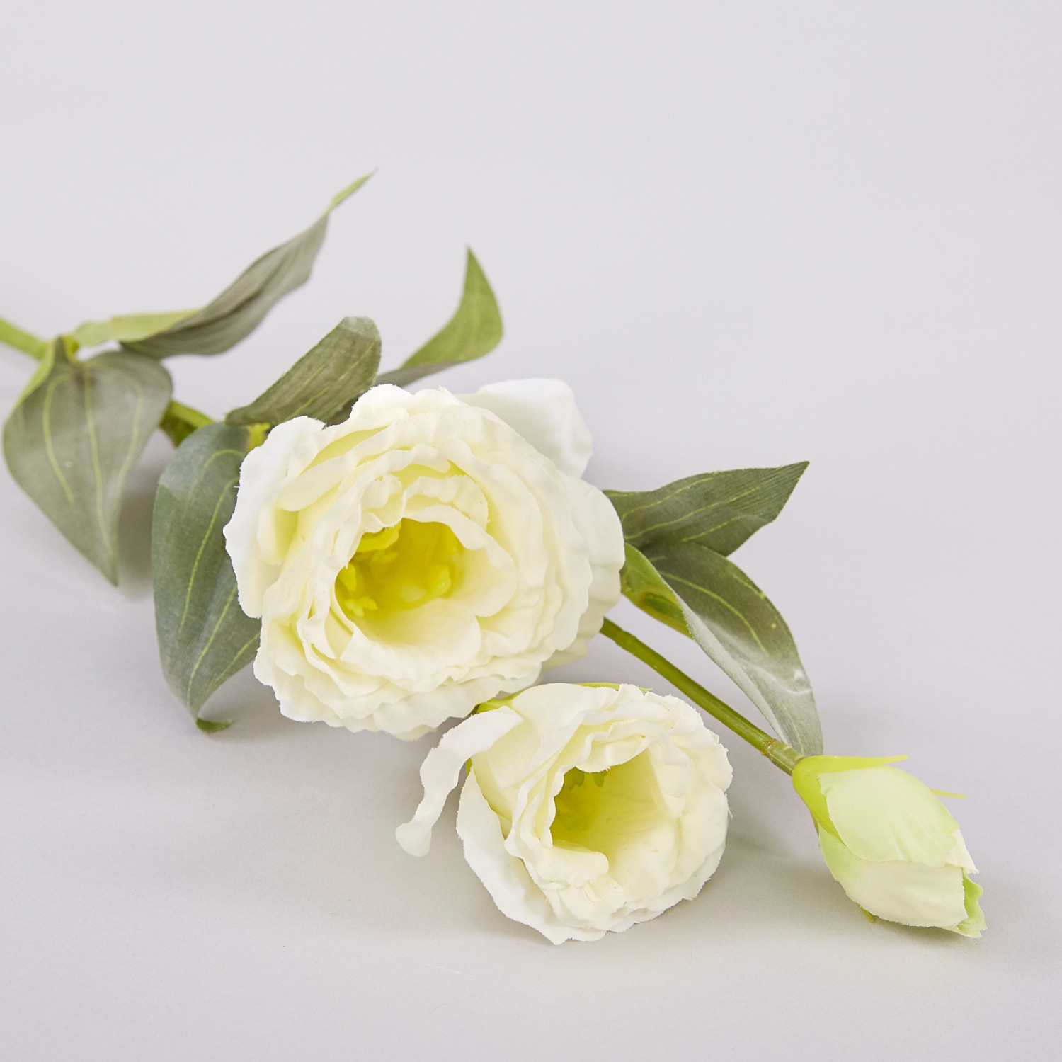 Цветок Eustoma