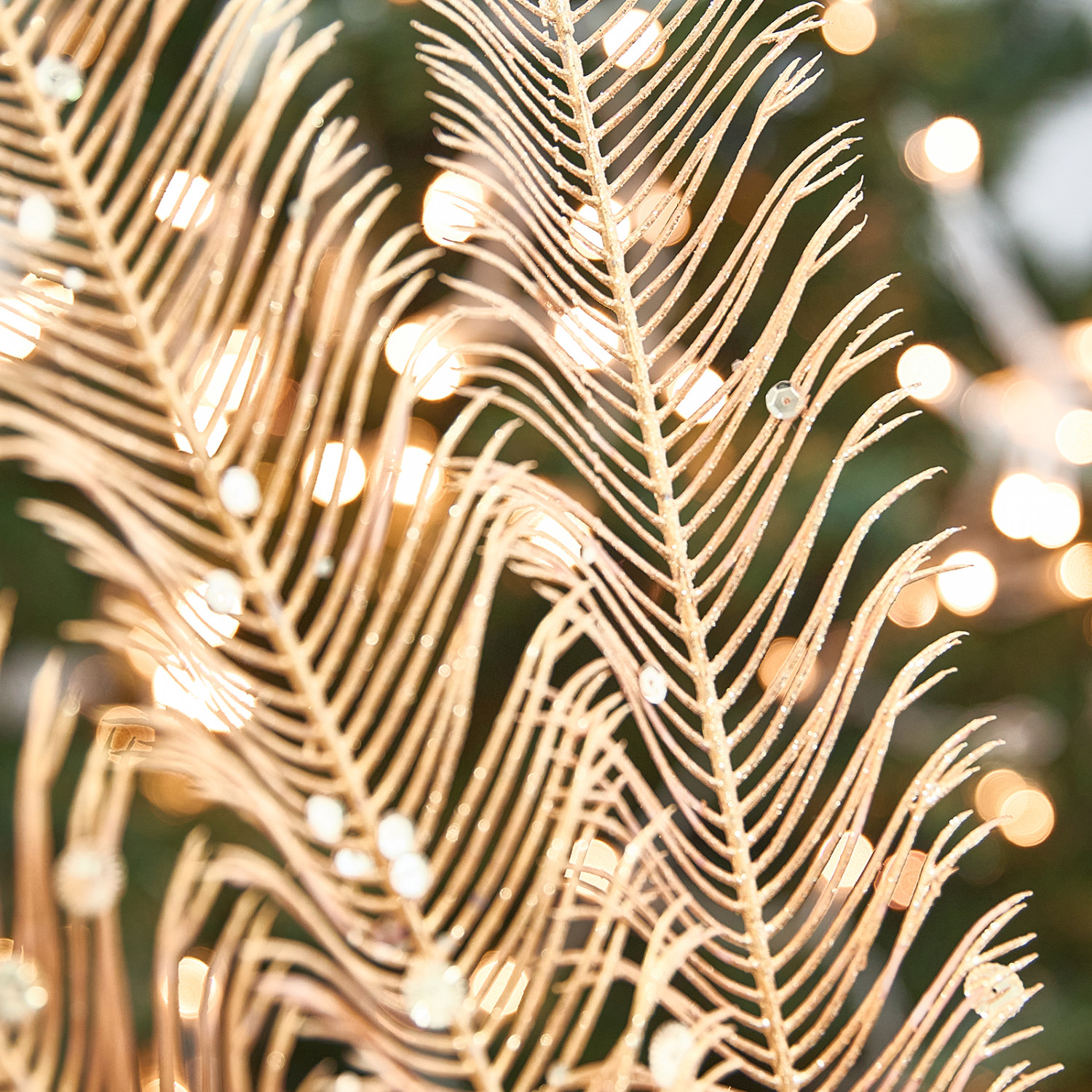 Ветвь Barisano - фото № 2