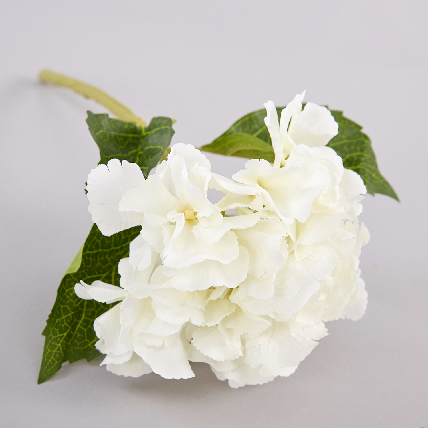 Цветок Giardino