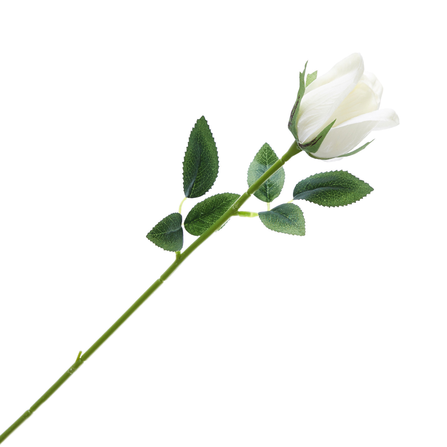 Цветок Firenze - фото № 2