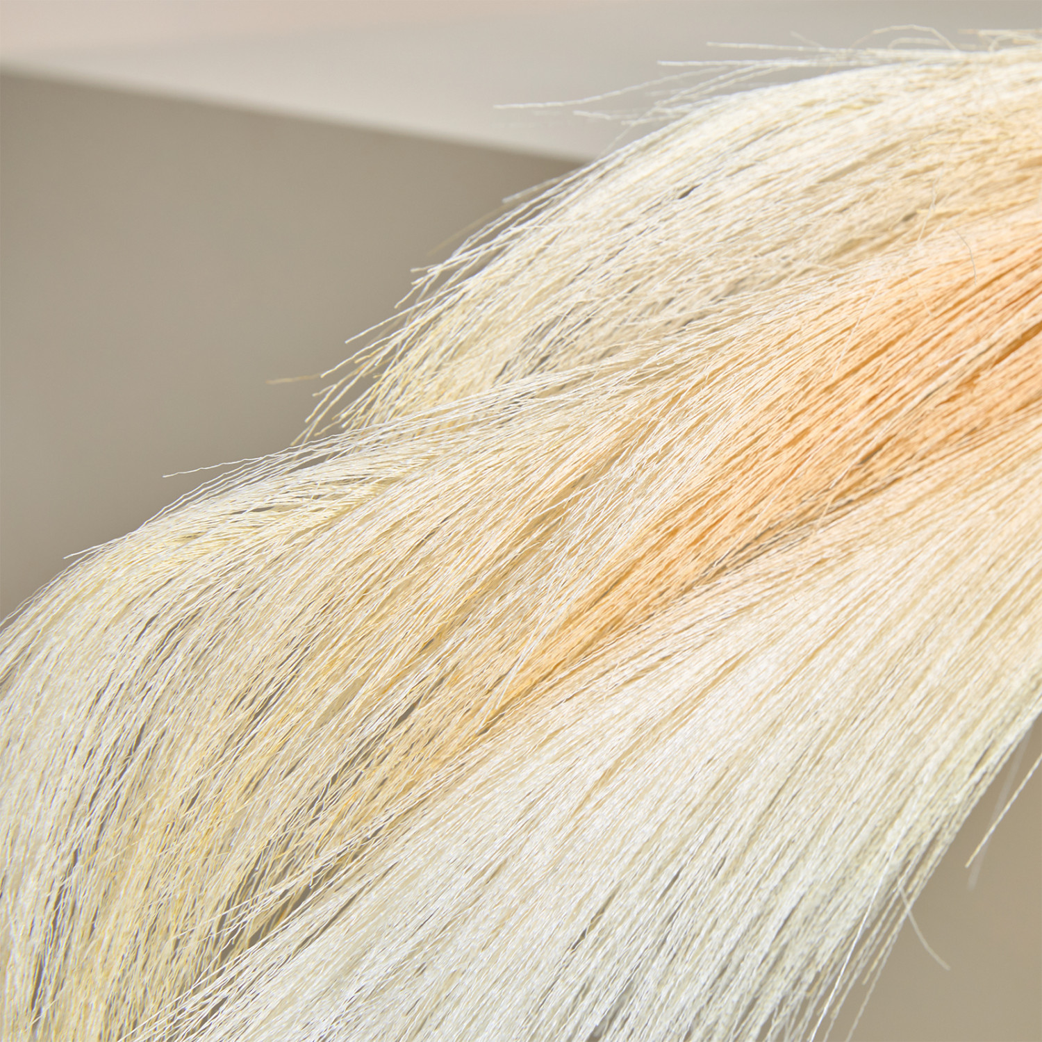 Ветвь Bless - фото № 2