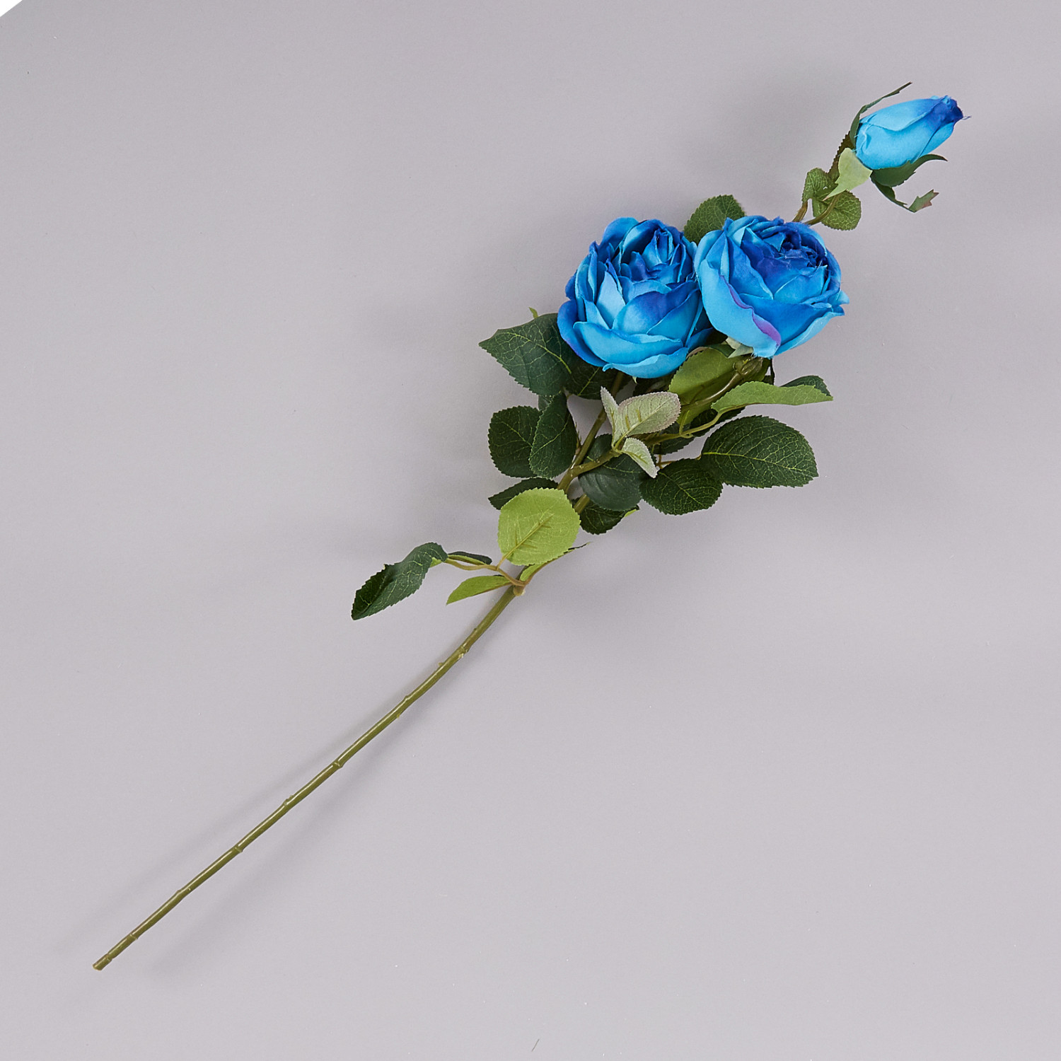 Цветок Riccio - фото № 2