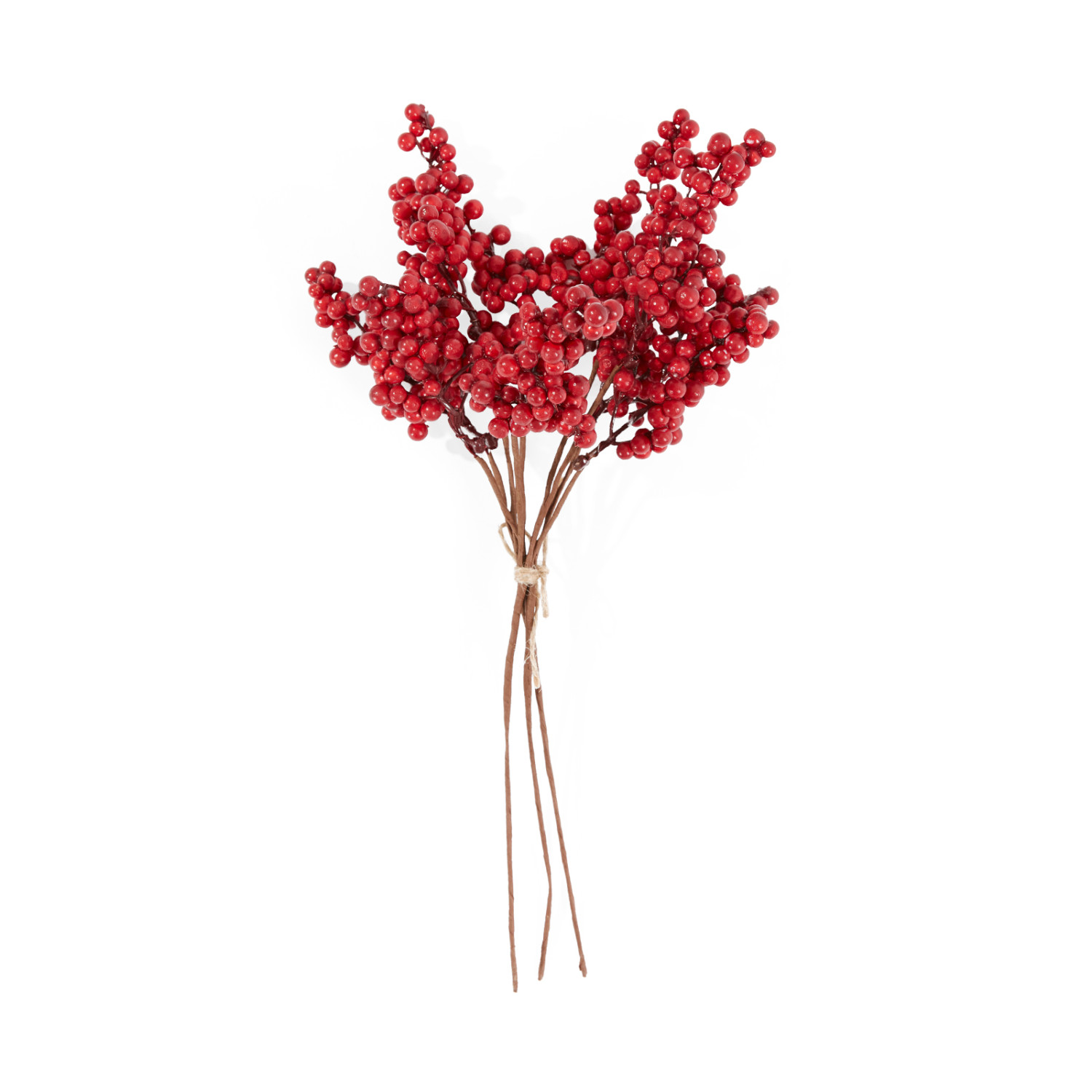 Ветвь с ягодами Rossetta