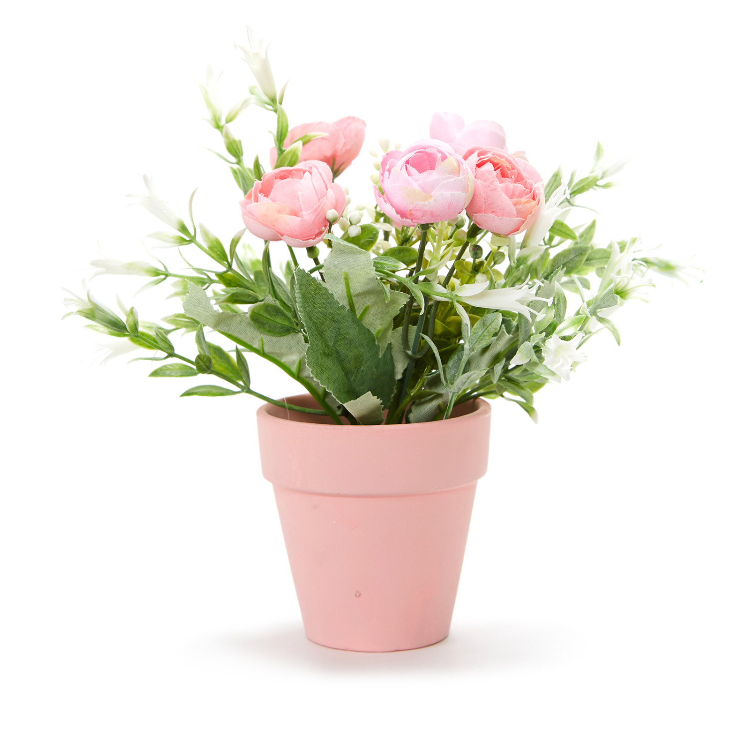 Цветок в горшке Rosabella