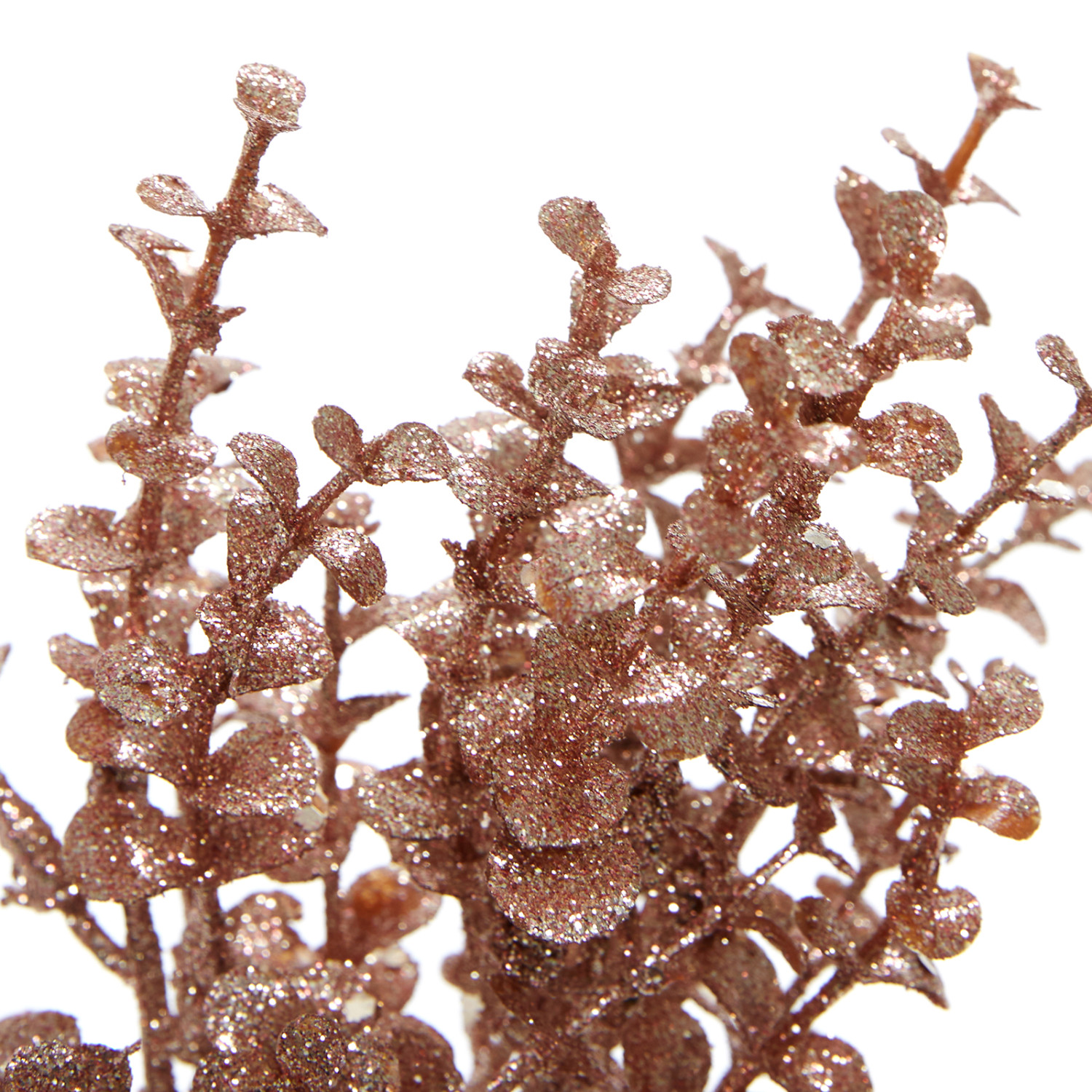 Ветвь Nafodo - фото № 3