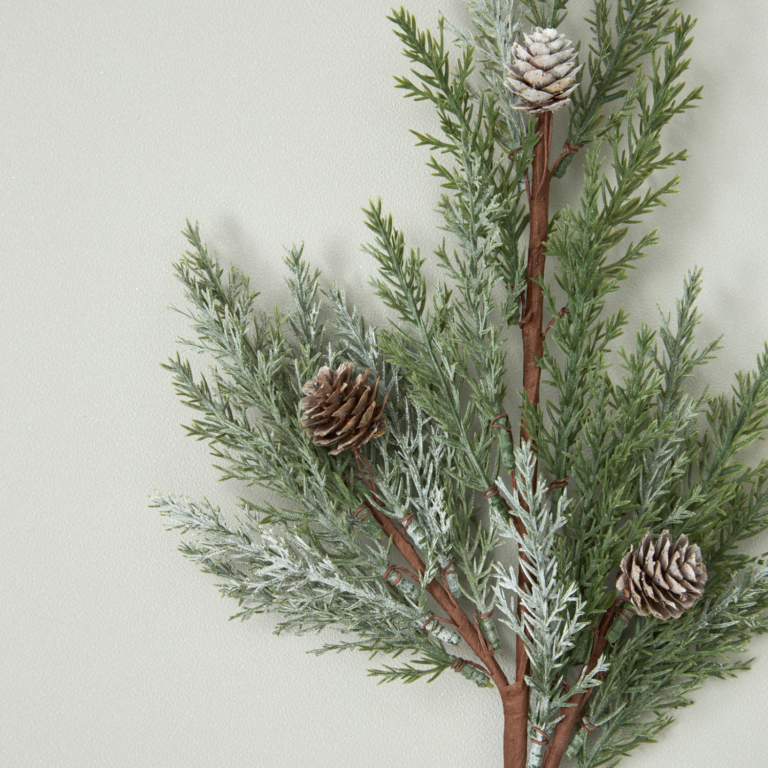 Ветвь Rametto VI - фото № 3