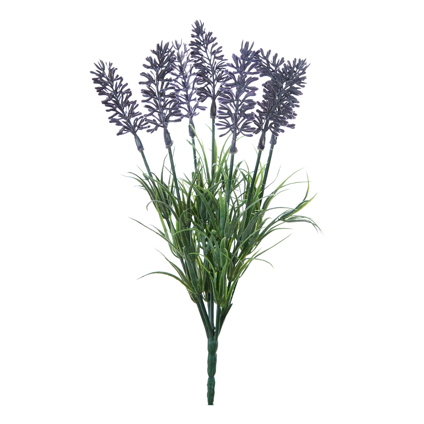 Цветок Зумпано/Zumpano - фото № 2