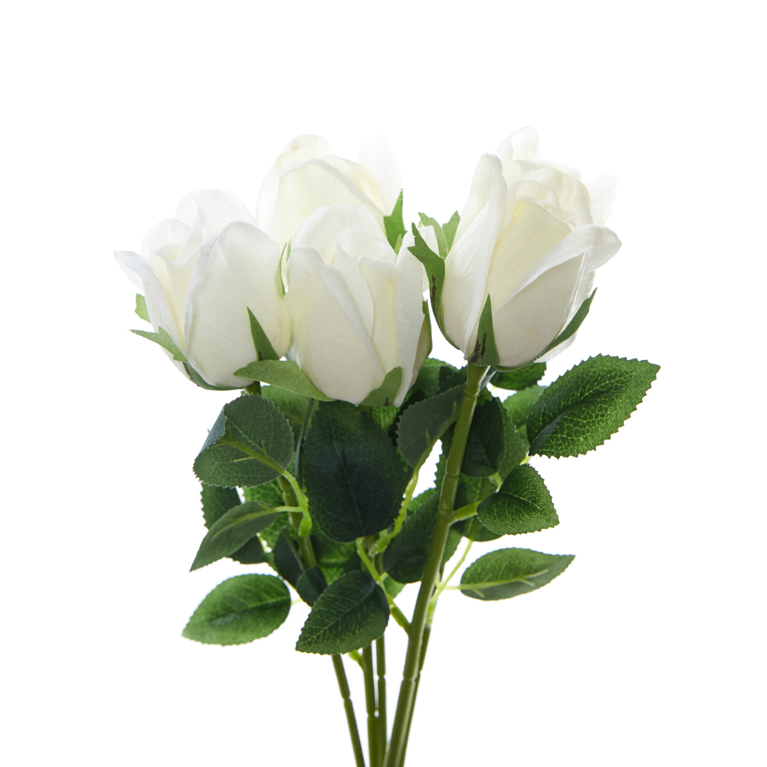 Цветок Firenze