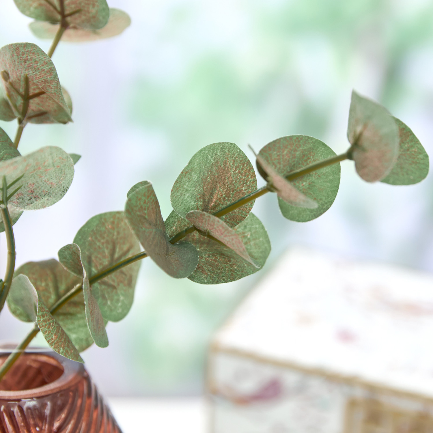 Ветвь Agerola - фото № 2