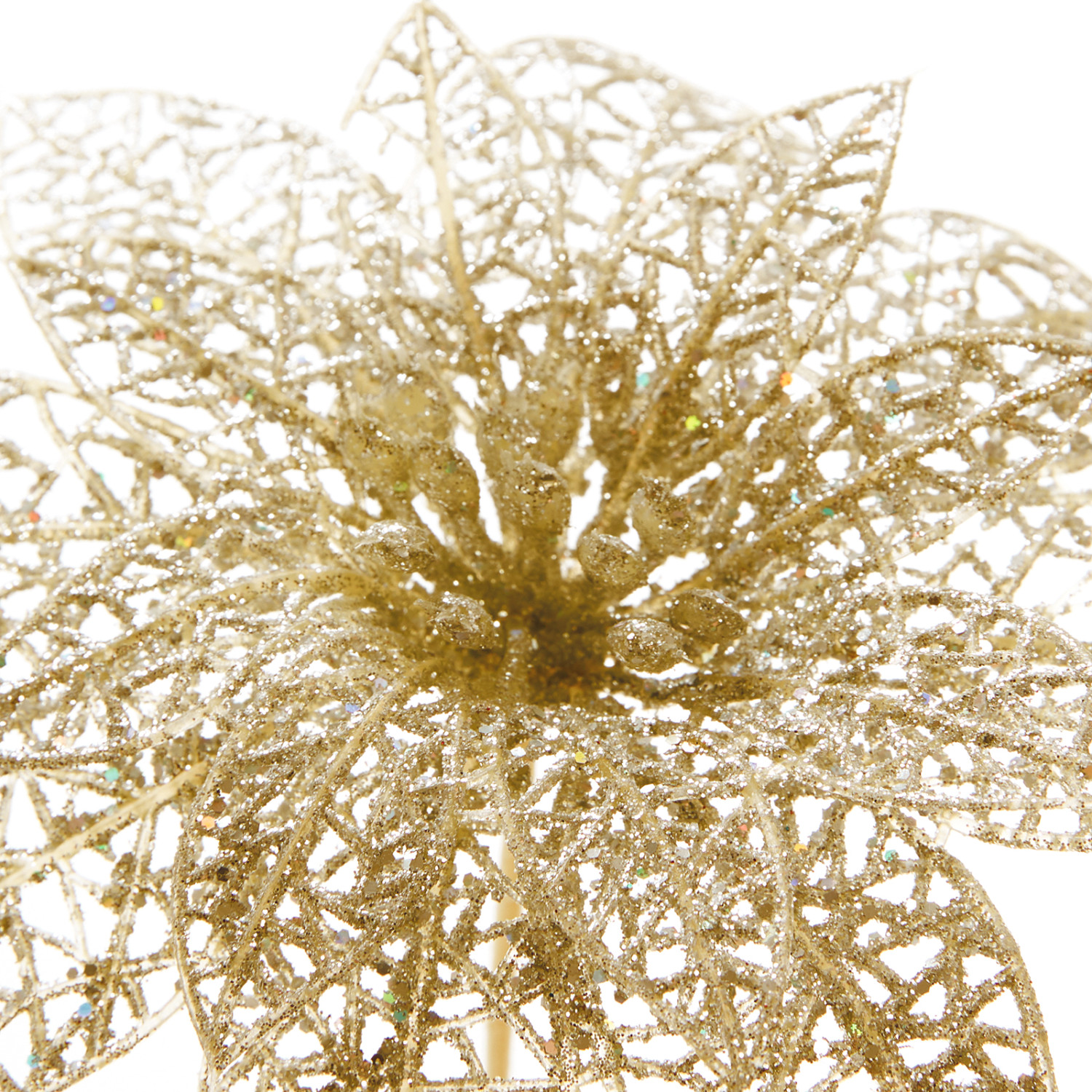 Цветок Puansetiya - фото № 2