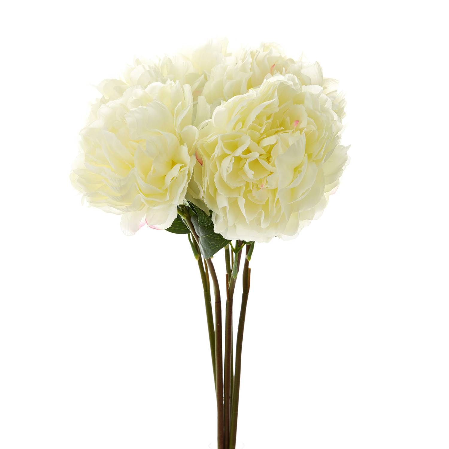 Цветок Пион