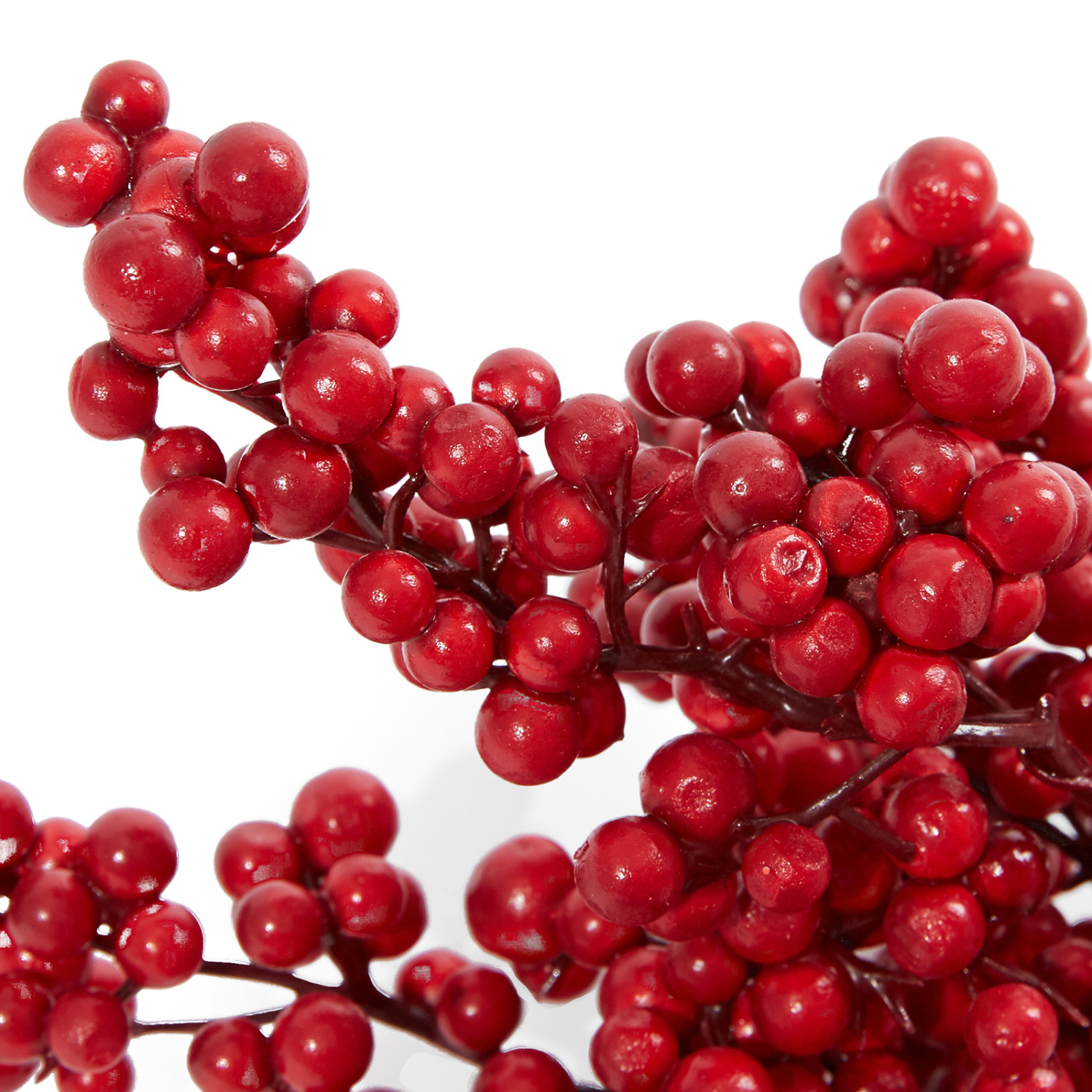 Ветвь с ягодами Rossetta - фото № 2