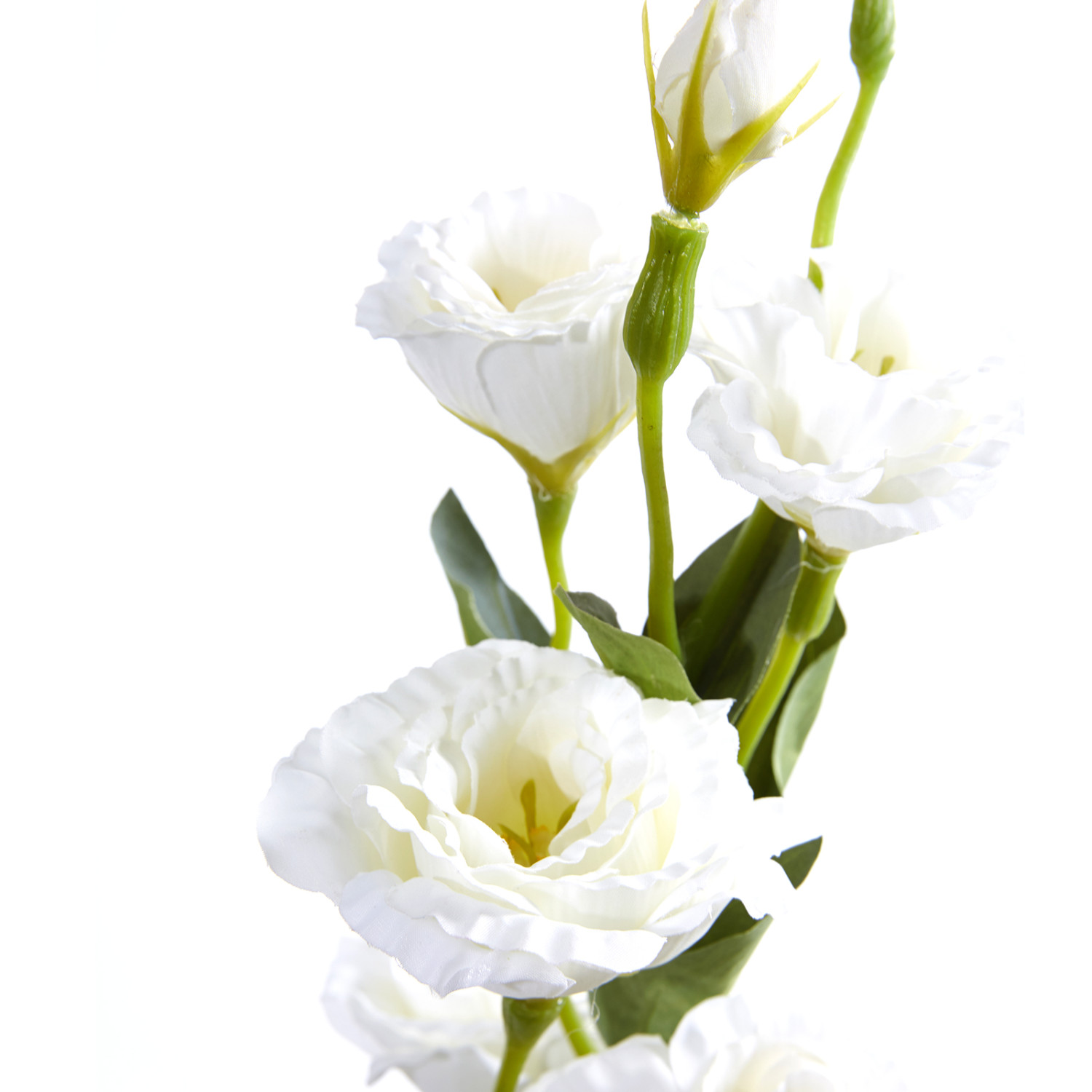 Цветок Lisianthus - фото № 2