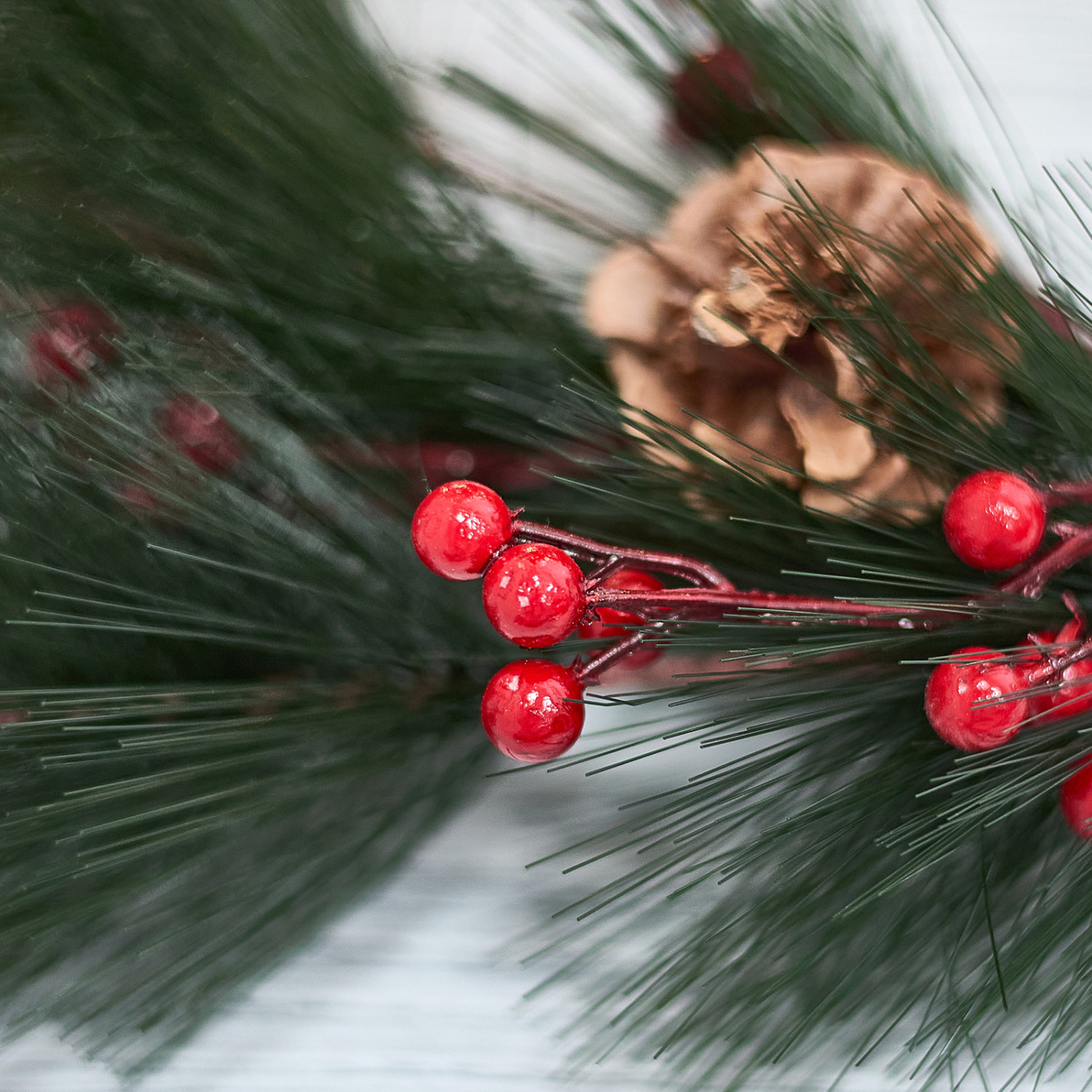 Ветвь Orbetello - фото № 2