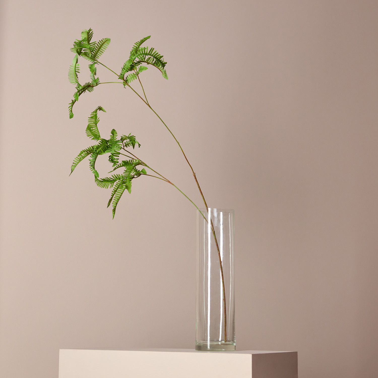 Ветвь Fern - фото № 3