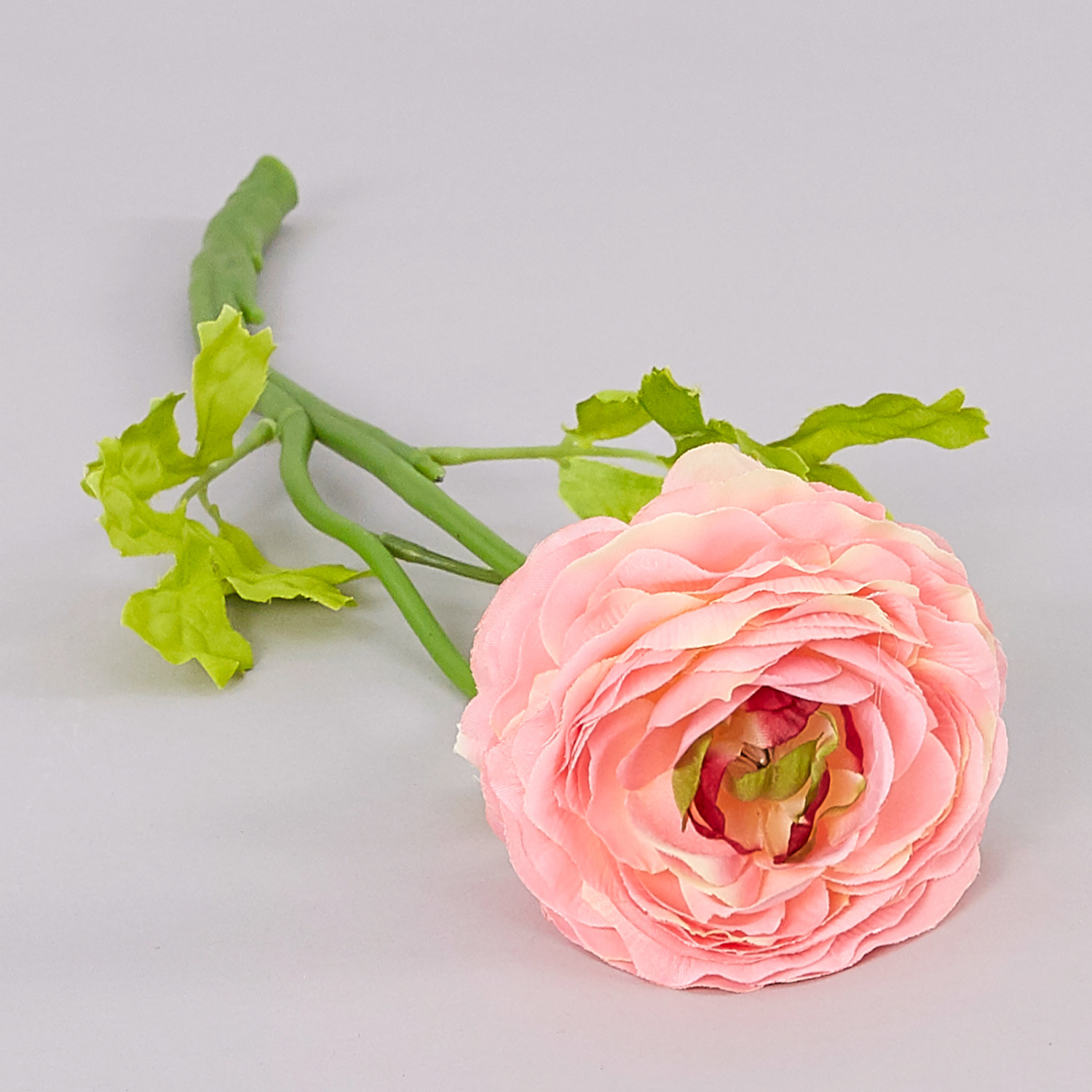 Цветок Ranunculus